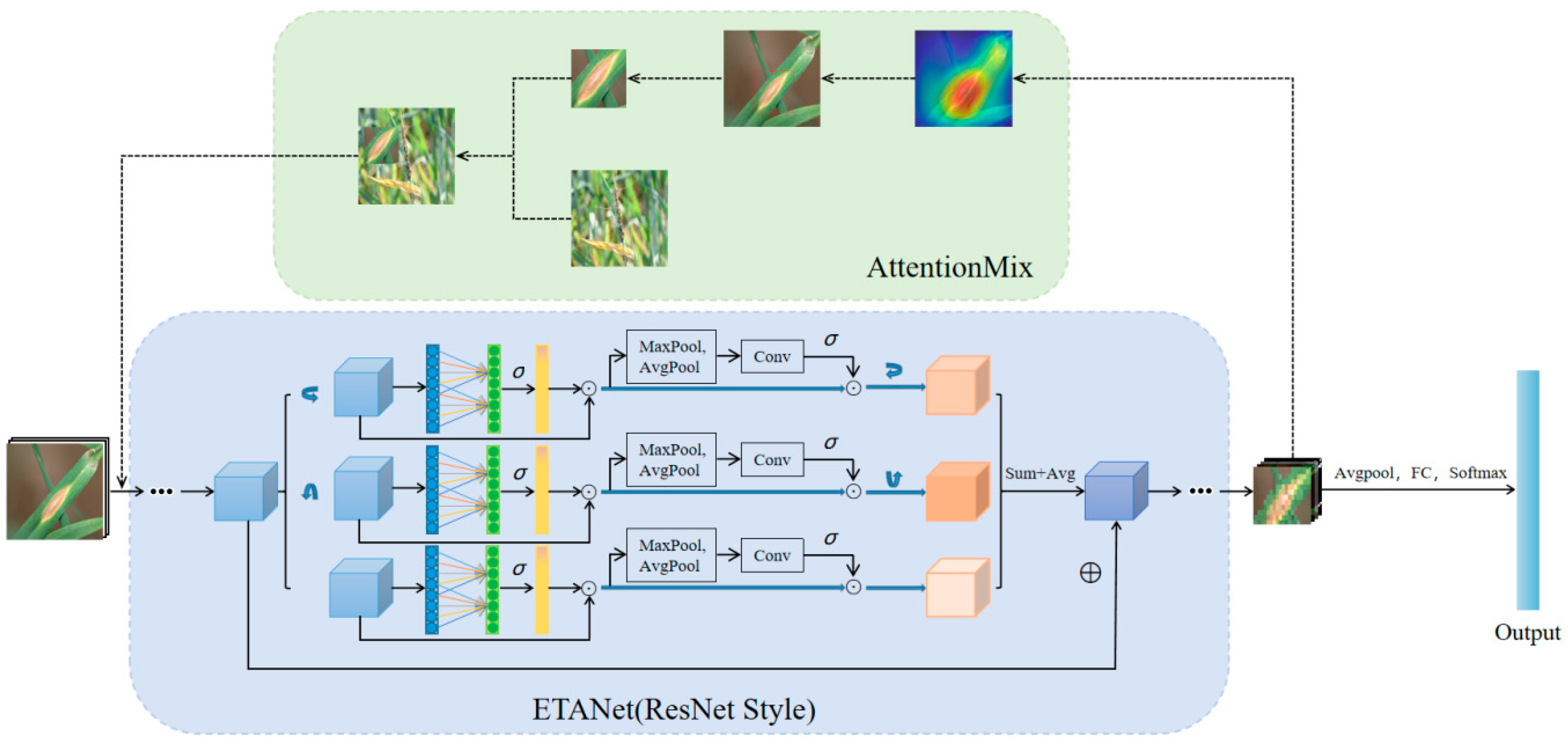 Agriculture 15 00313 g003