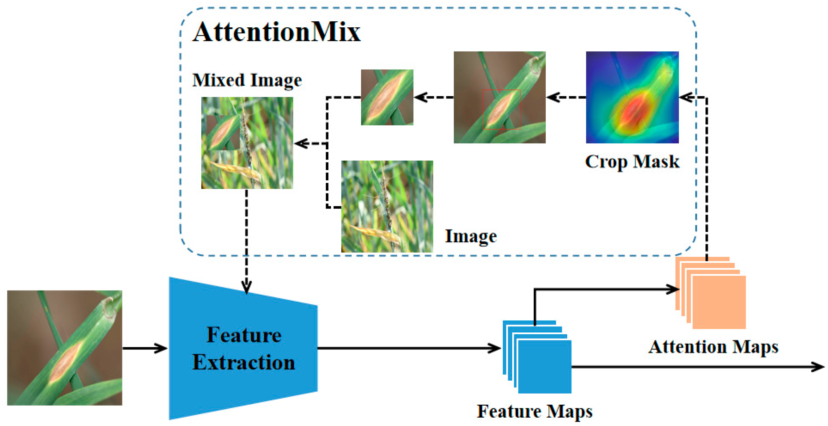 Agriculture 15 00313 g007