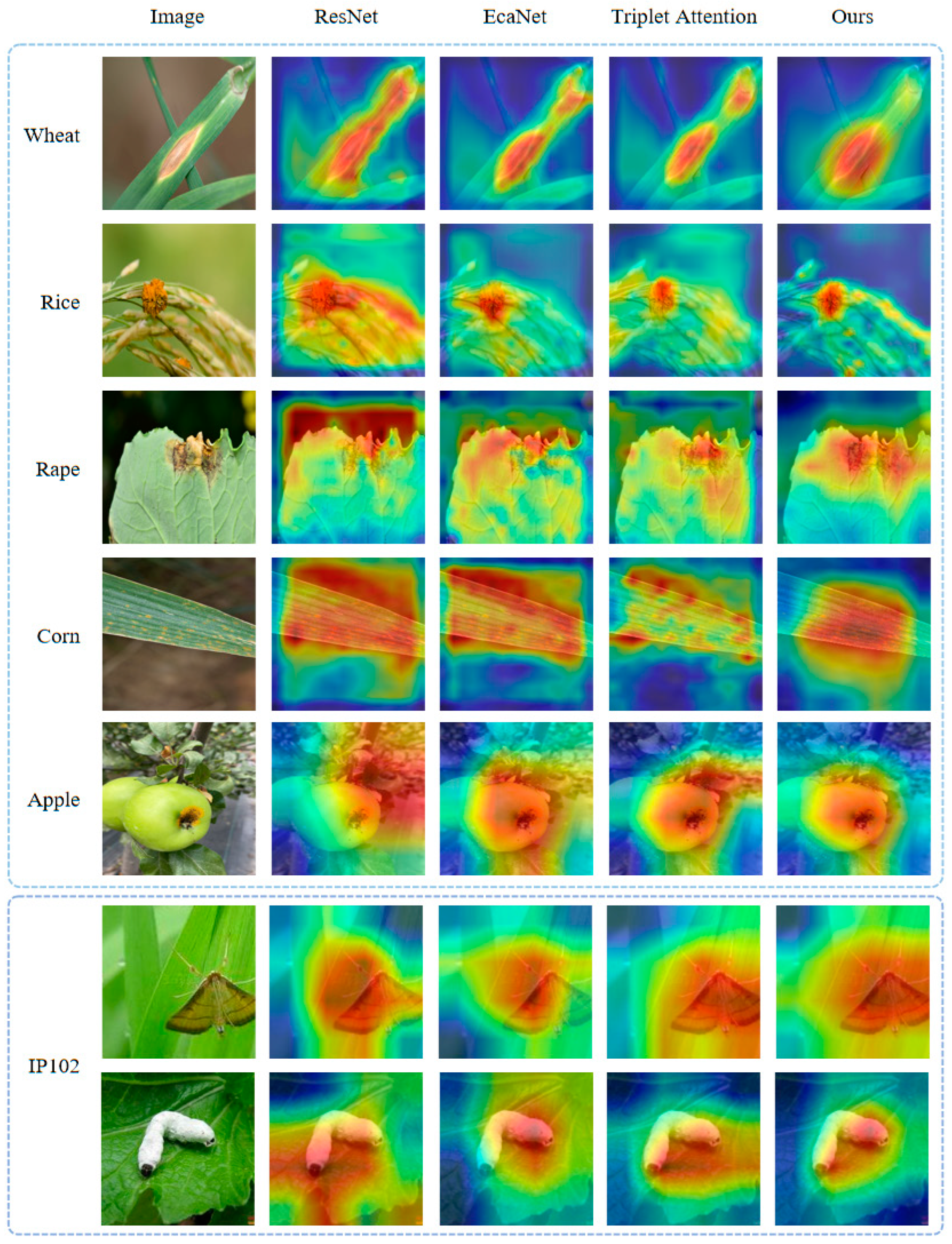 Agriculture 15 00313 g010