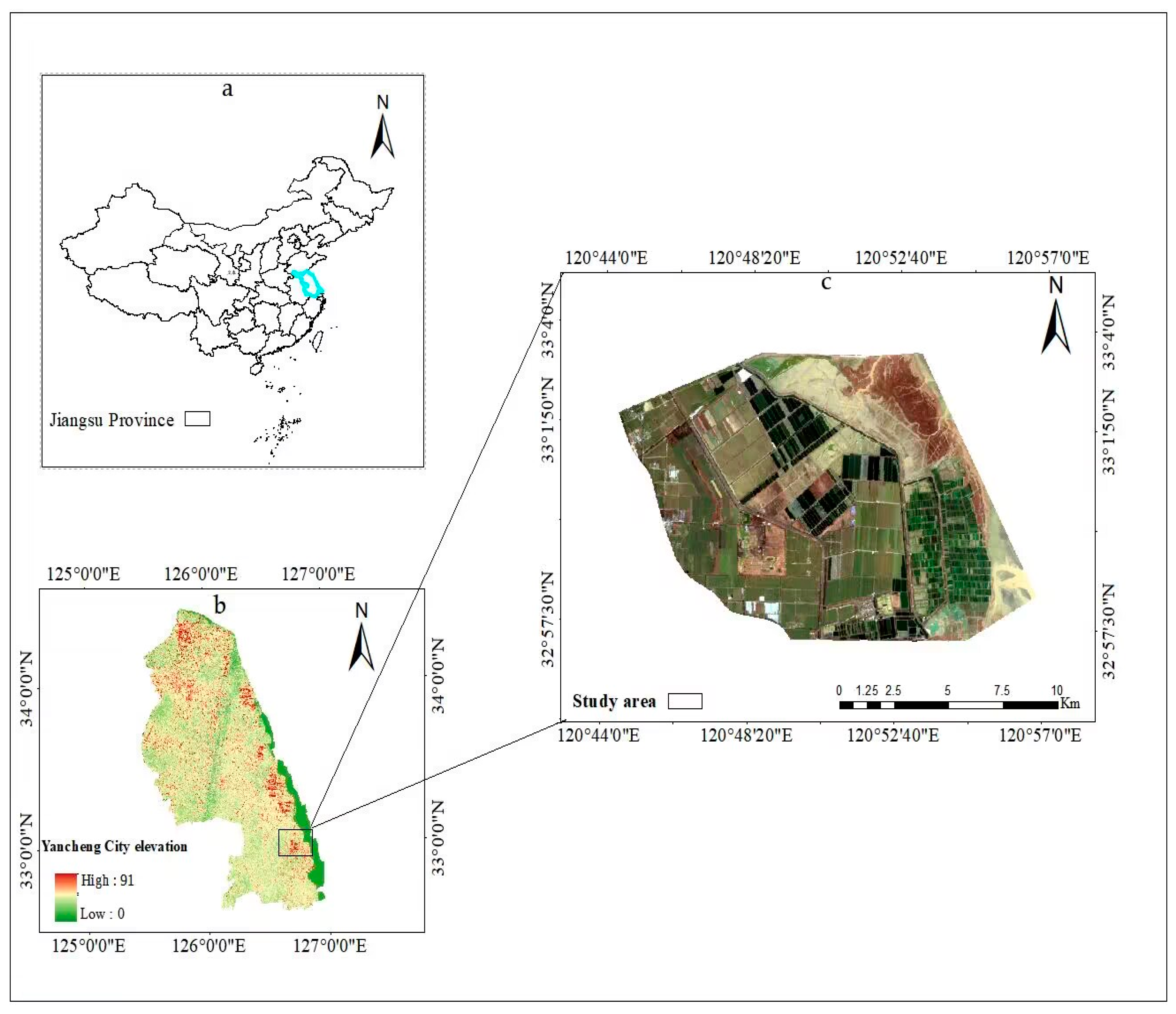 Agriculture 15 00323 g001