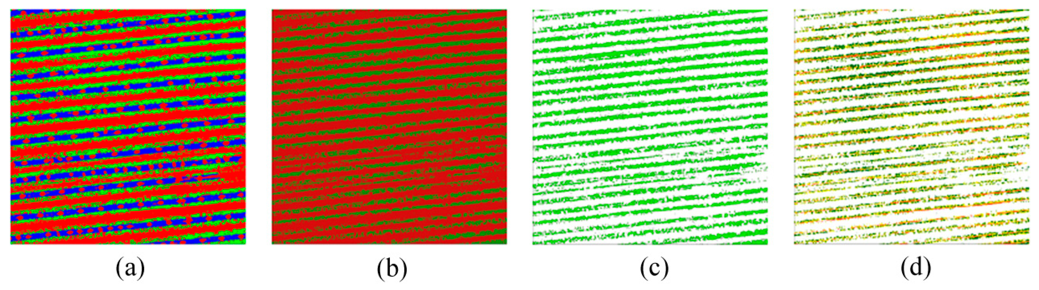 Agriculture 15 00331 g006