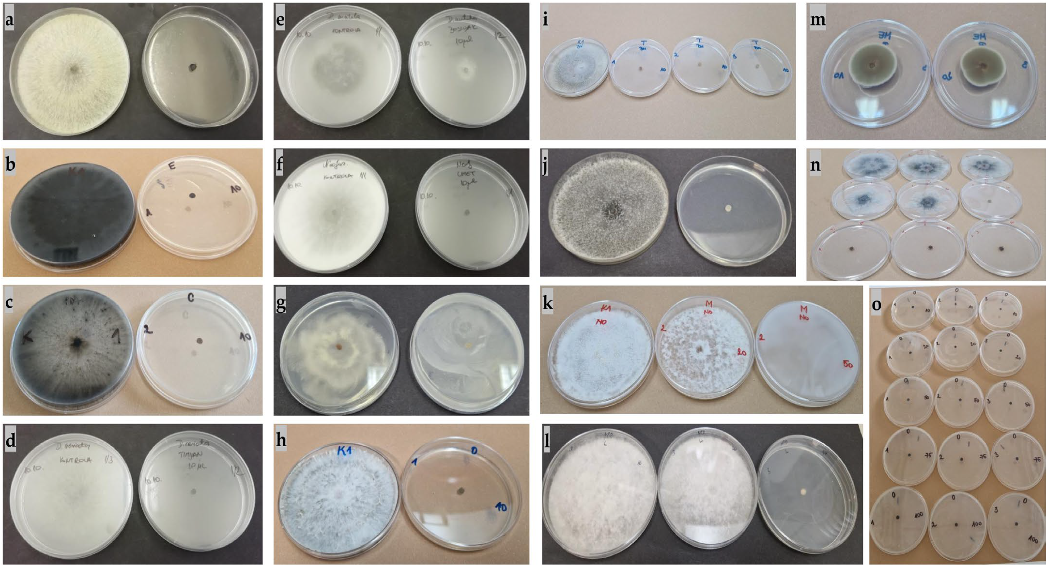 Agriculture 15 00340 g003