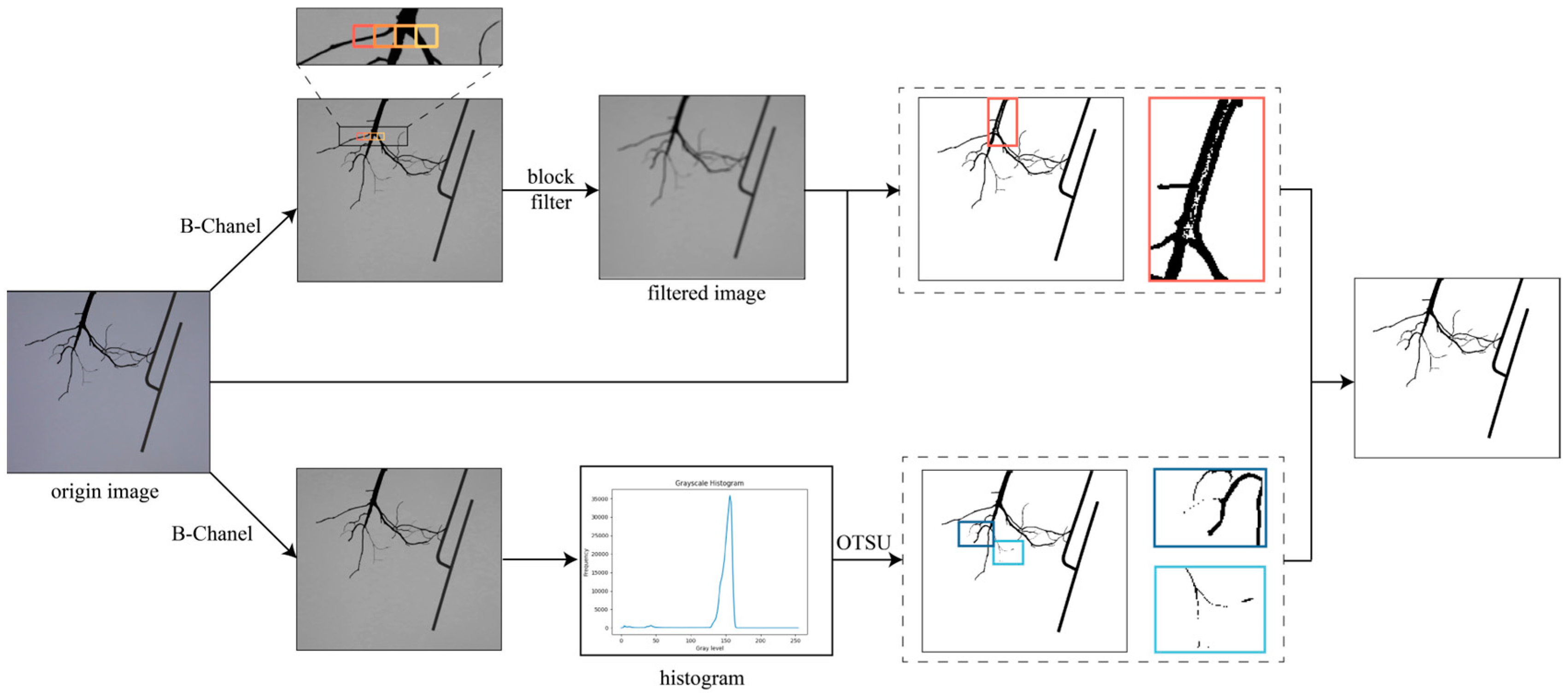 Agriculture 15 00343 g003