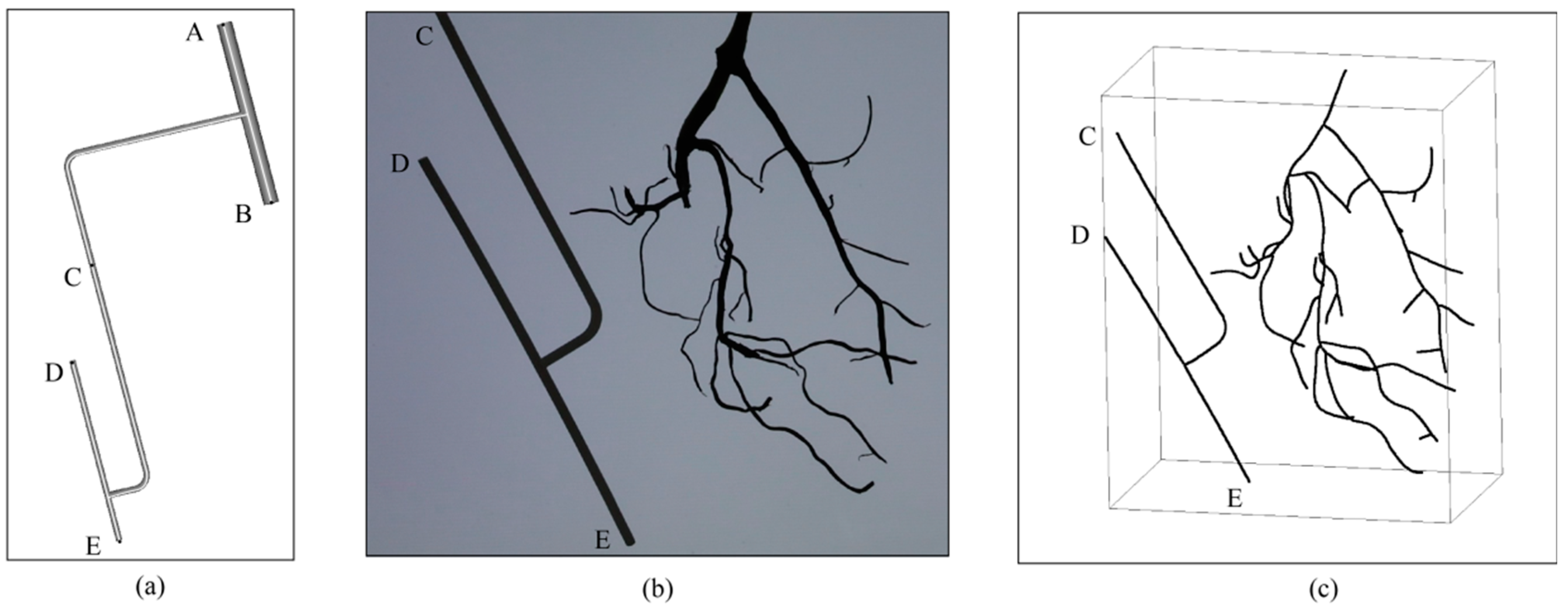Agriculture 15 00343 g005