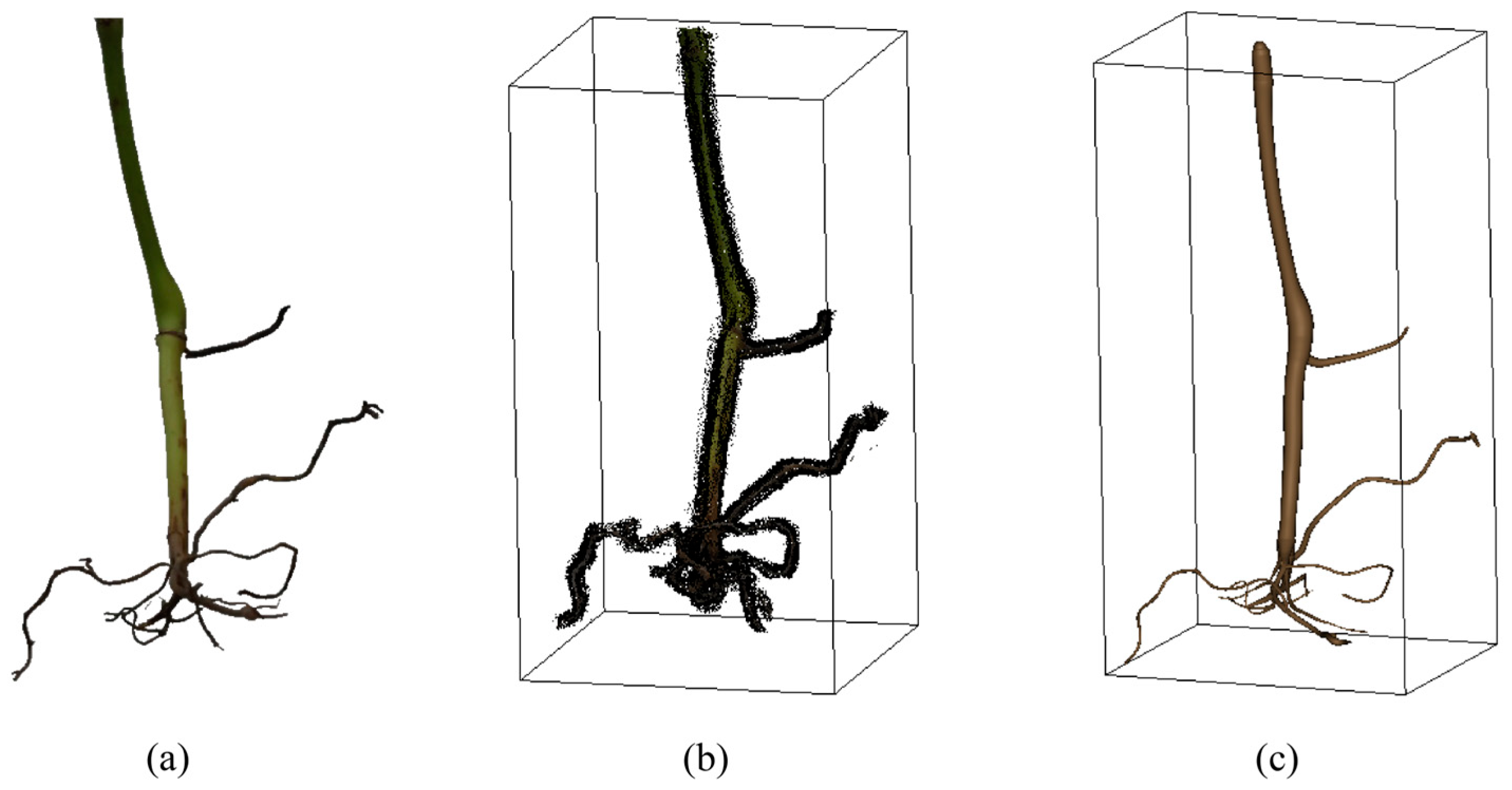 Agriculture 15 00343 g013