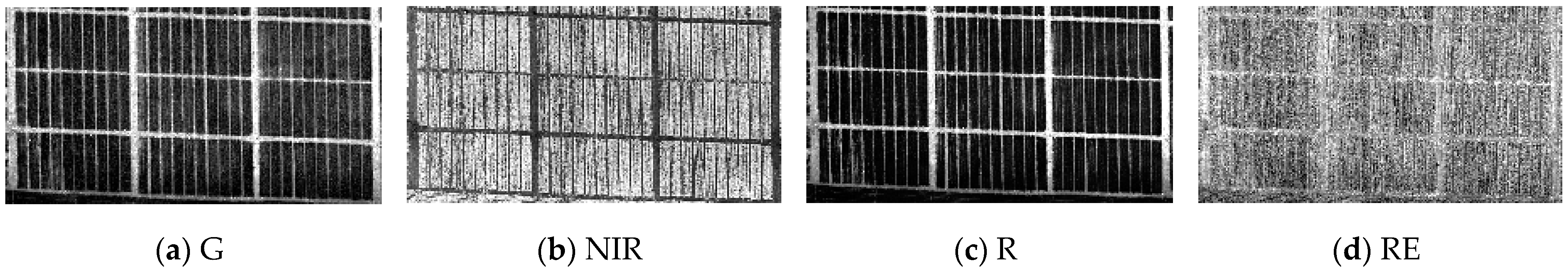 Agriculture 15 00353 g002