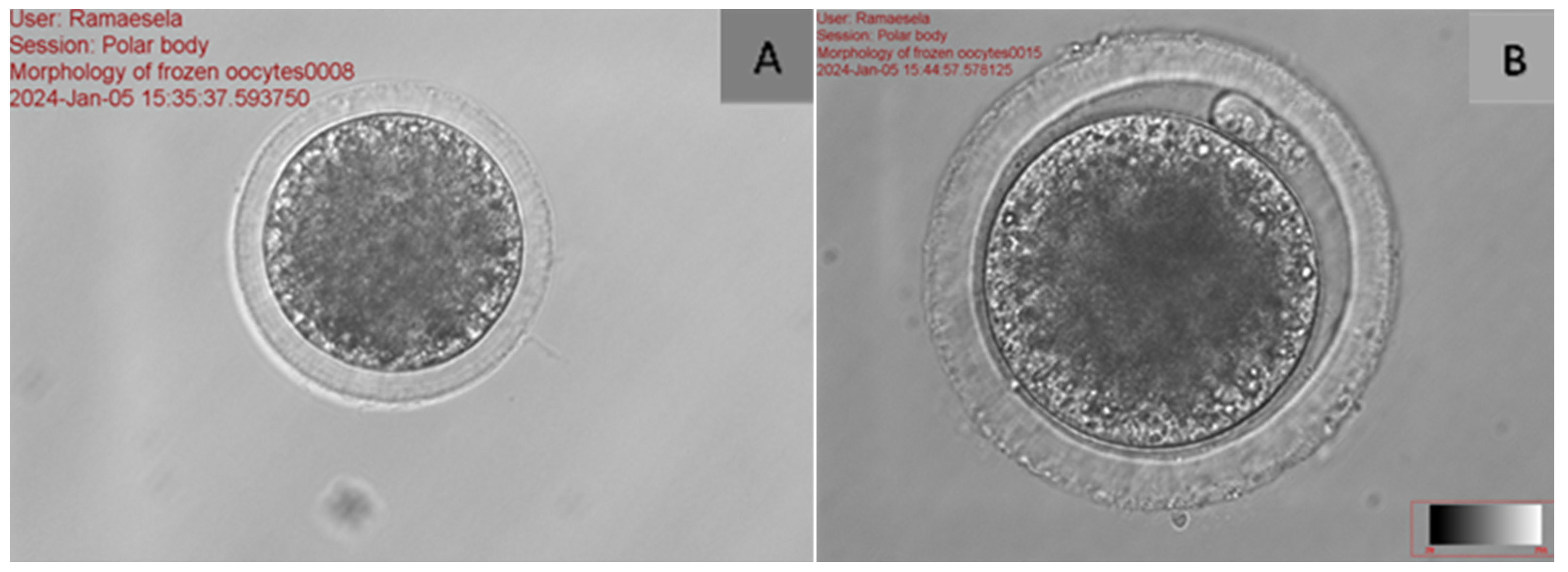 Agriculture 15 00363 g002
