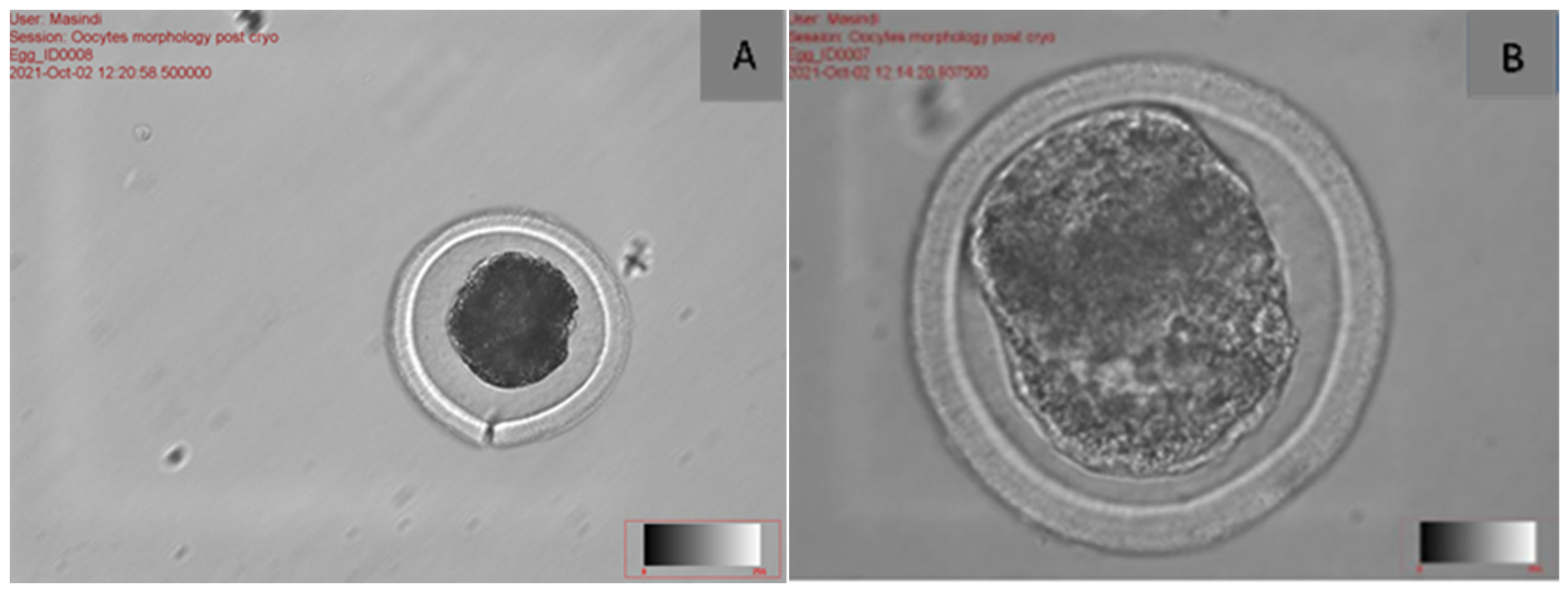 Agriculture 15 00363 g003