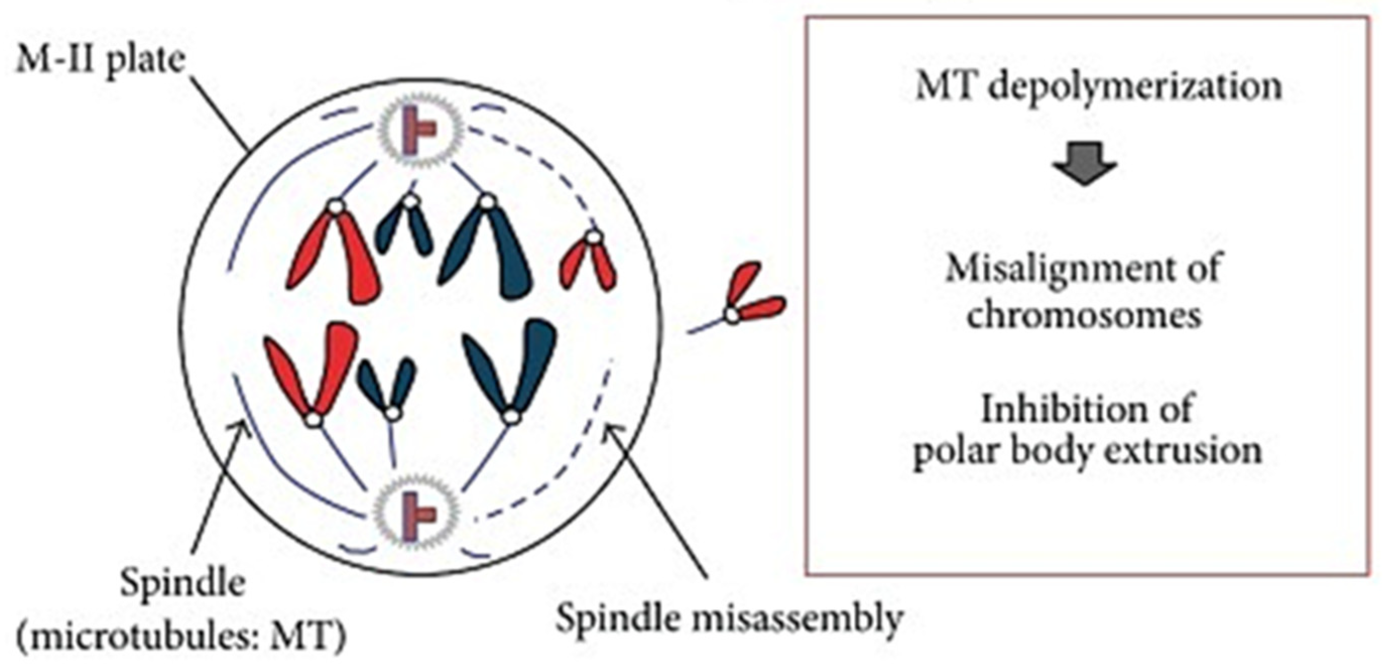 Agriculture 15 00363 g004