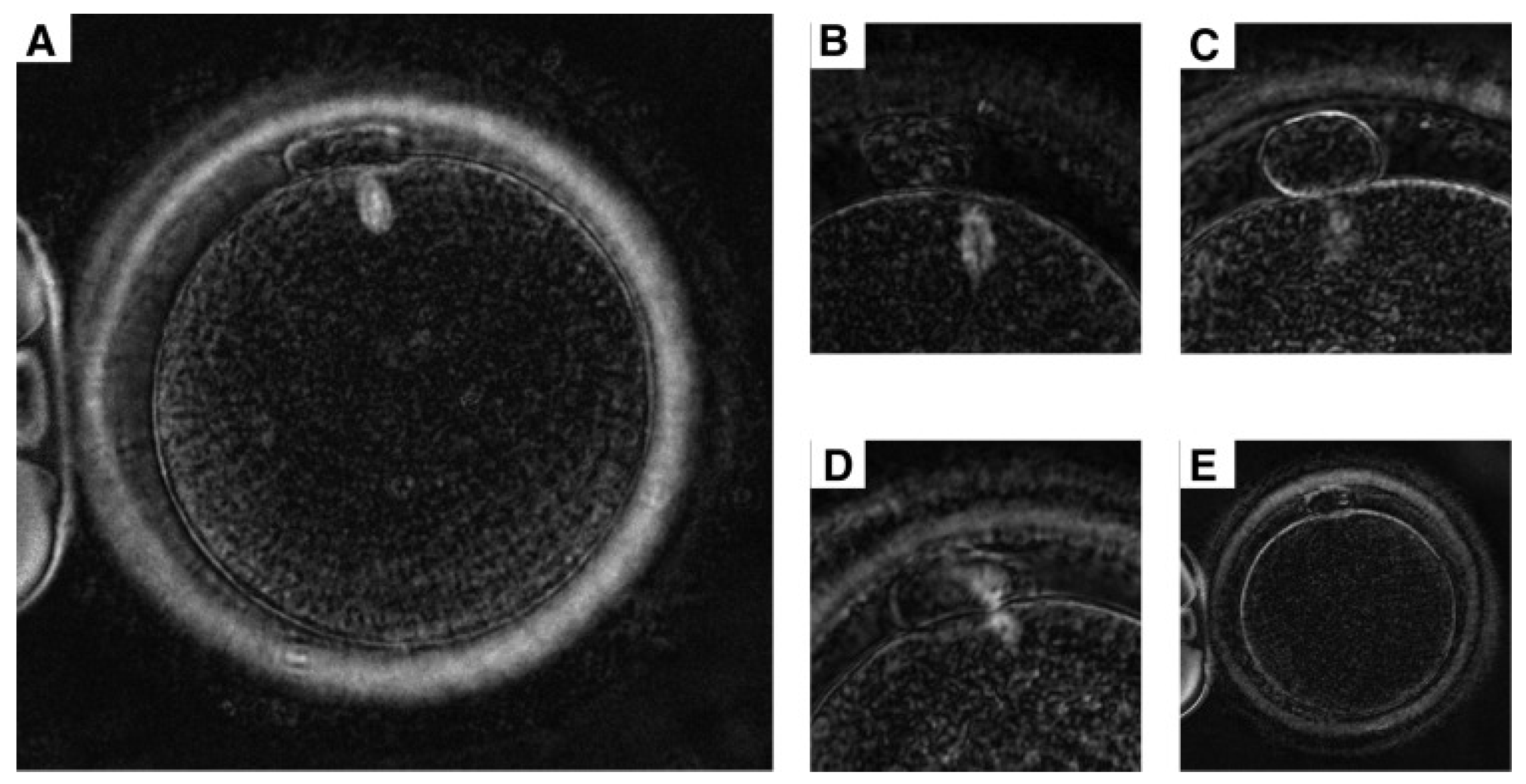 Agriculture 15 00363 g005