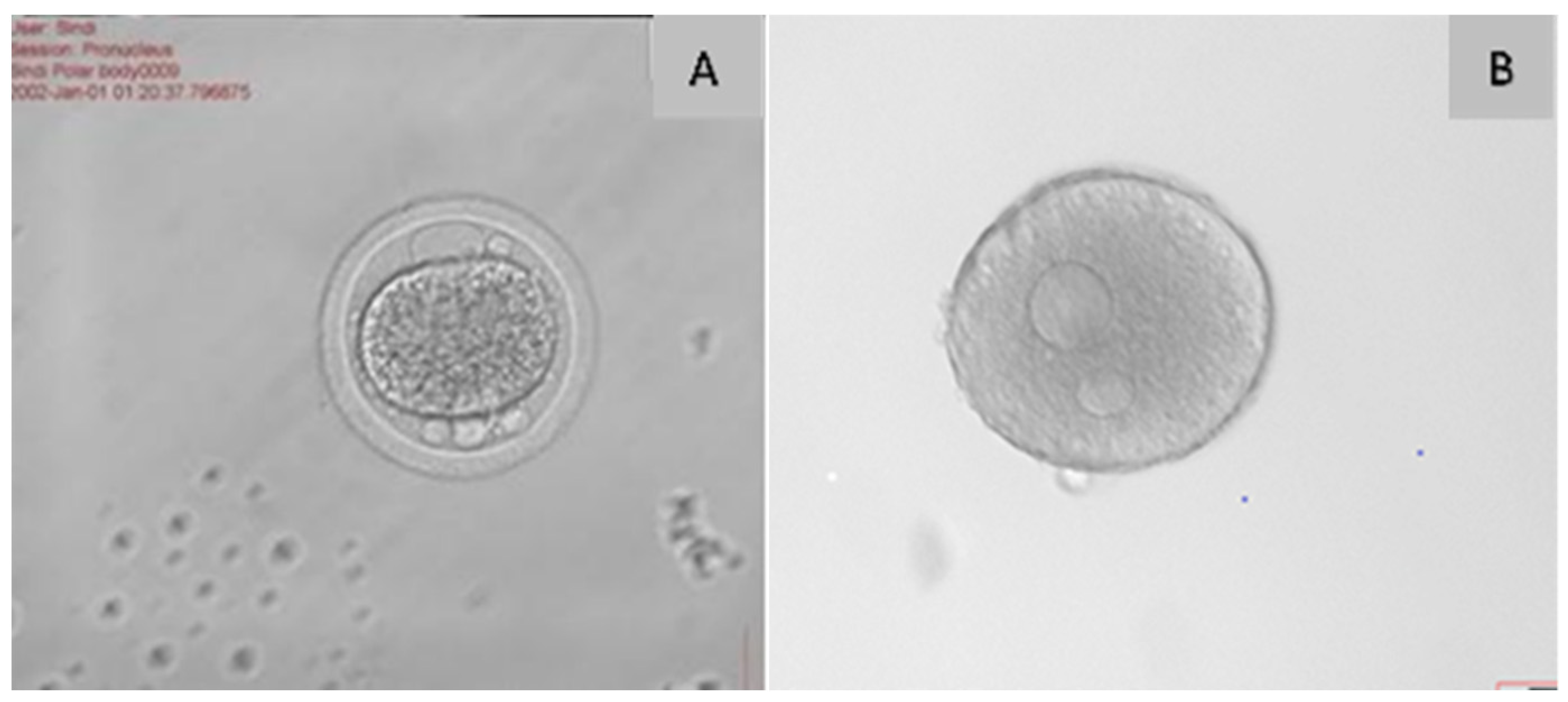 Agriculture 15 00363 g006