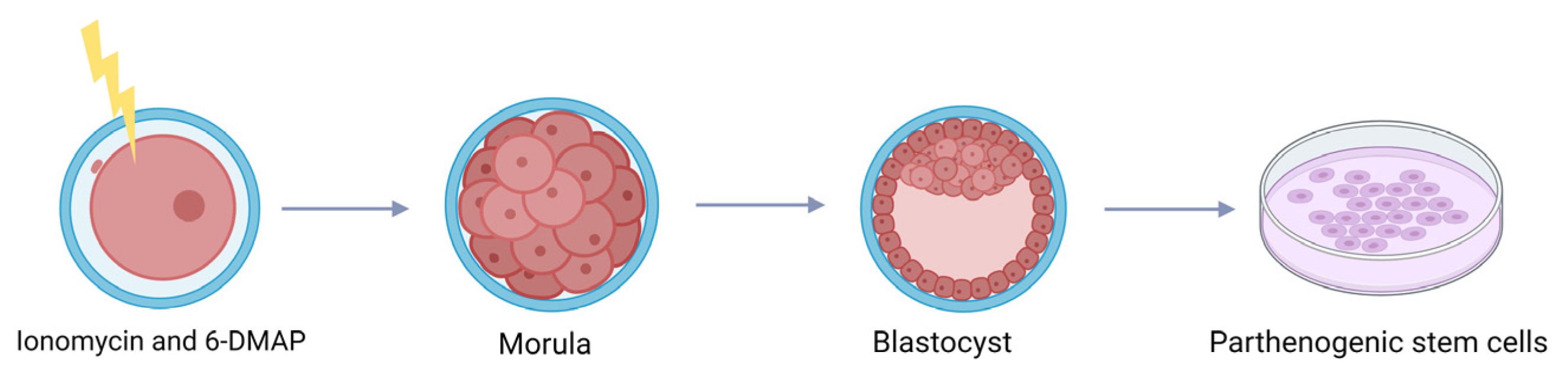 Agriculture 15 00363 g009