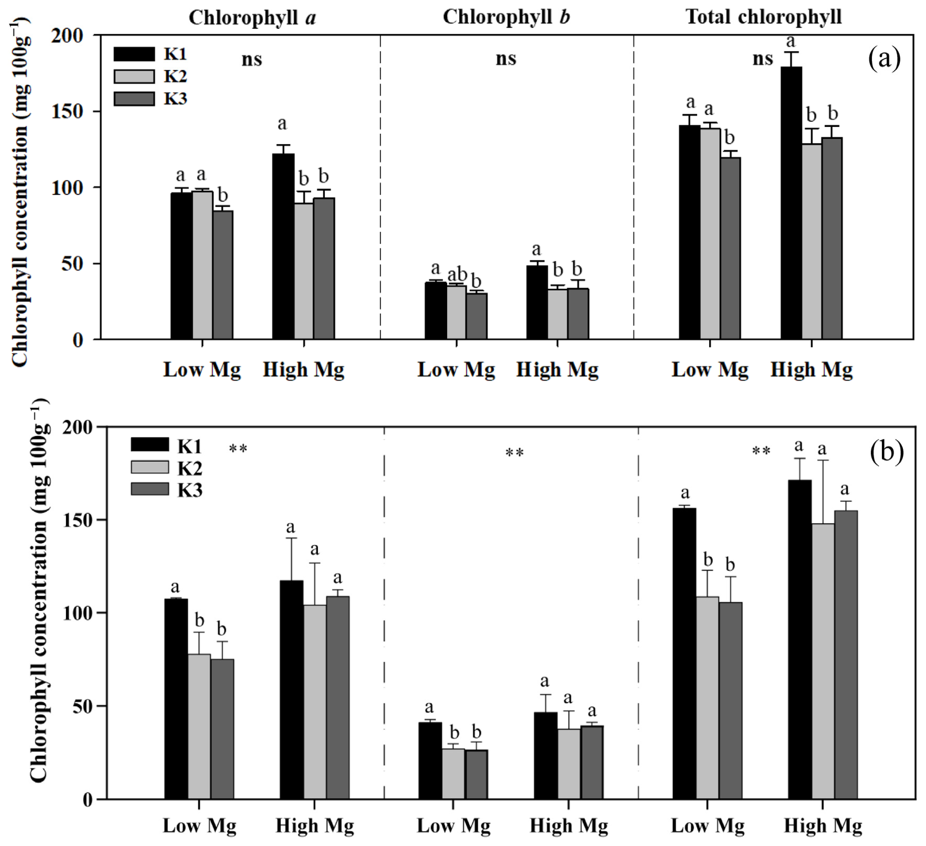 Agriculture 15 00368 g004