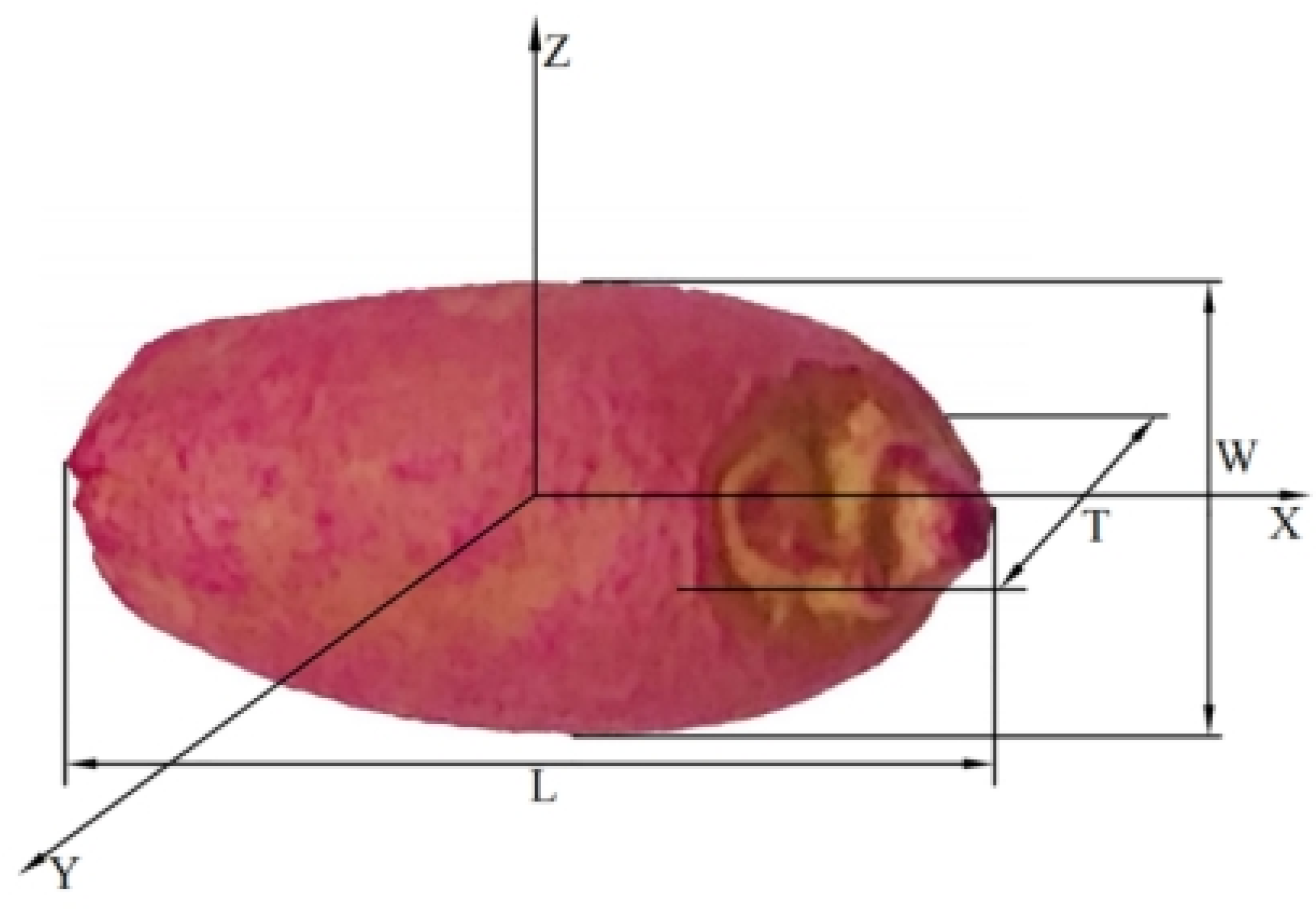 Agriculture 15 00369 g001