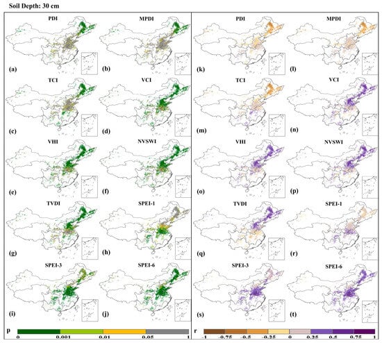 Agriculture 15 00423 g004