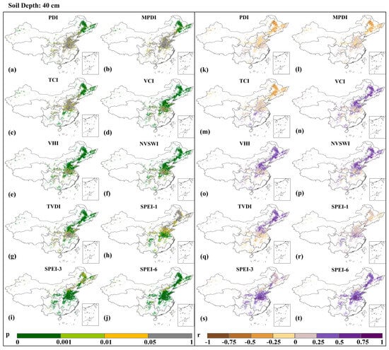 Agriculture 15 00423 g005