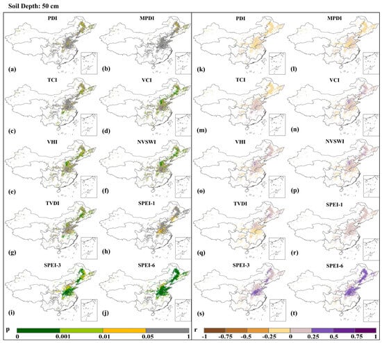 Agriculture 15 00423 g006