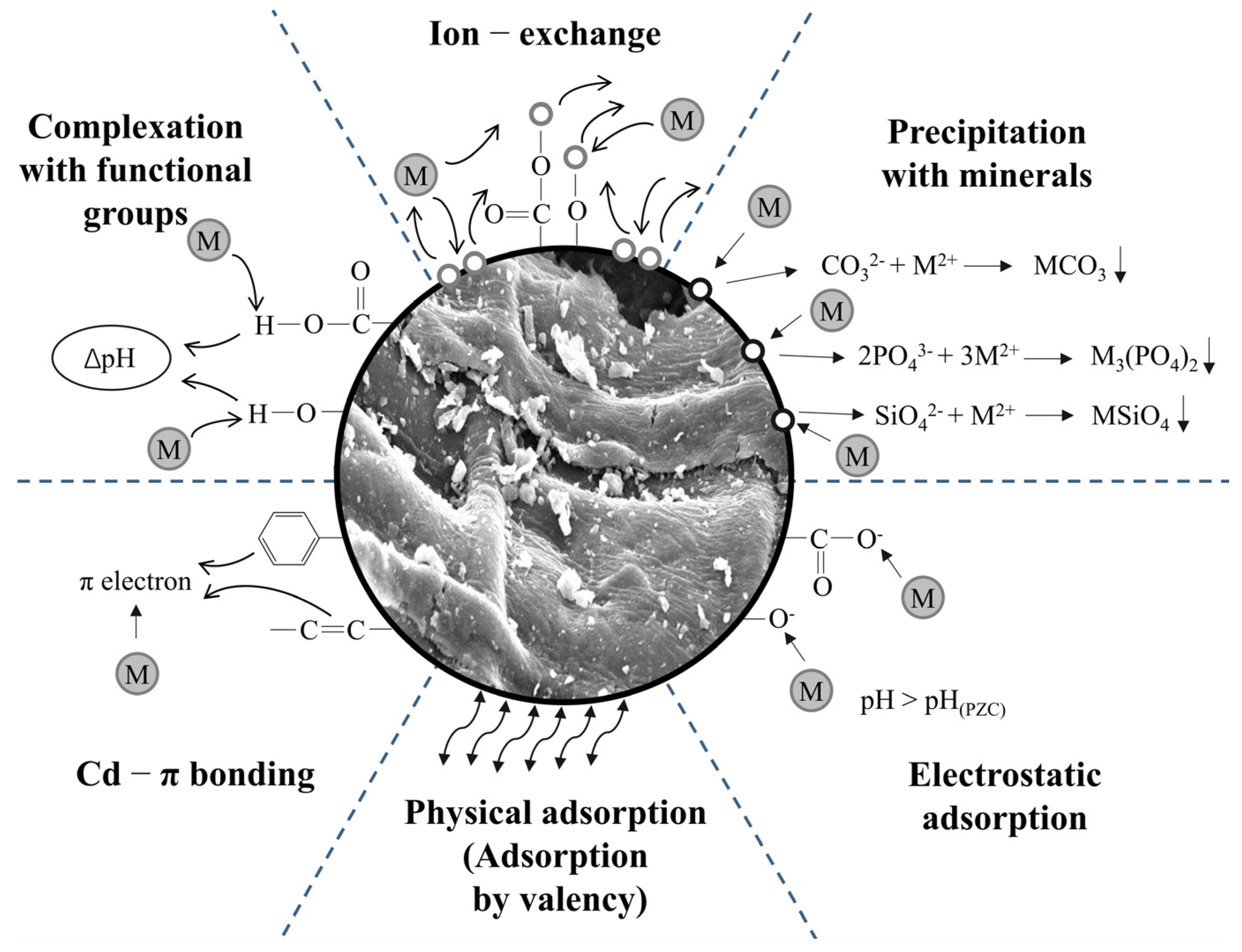 Agriculture 15 00427 g001