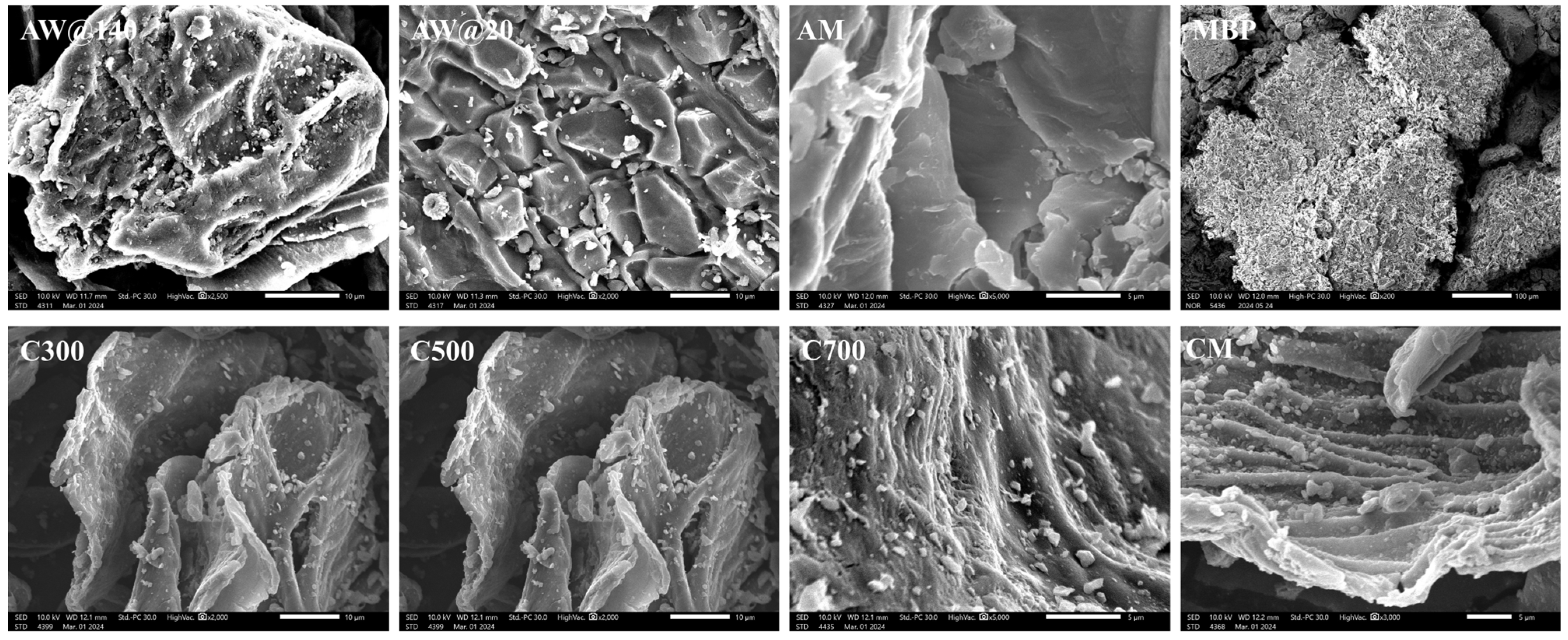 Agriculture 15 00427 g002