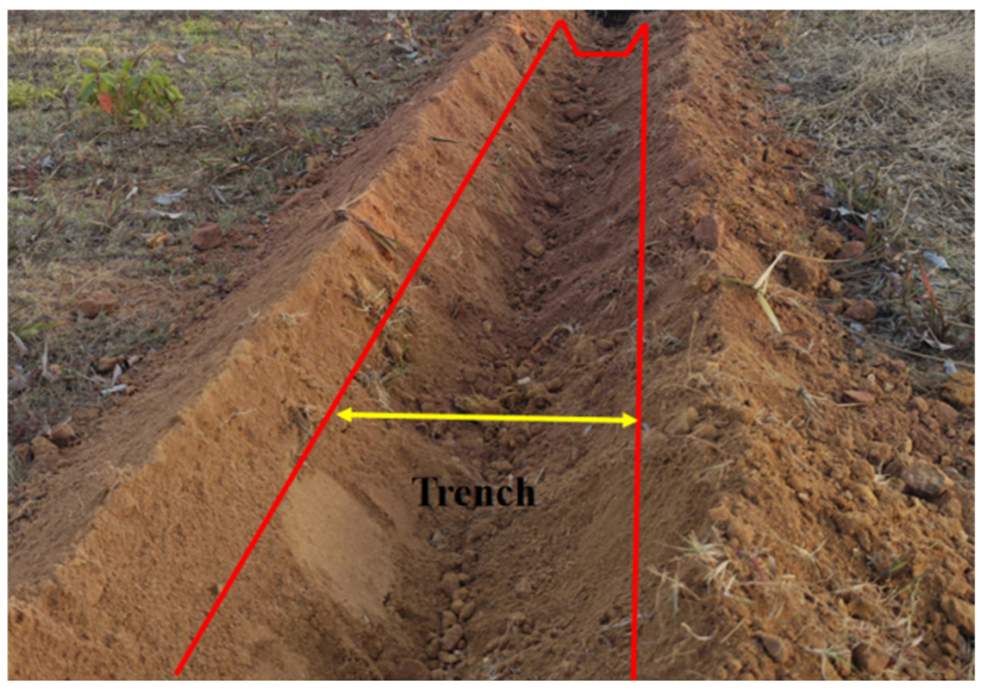 Agriculture 15 00430 g017