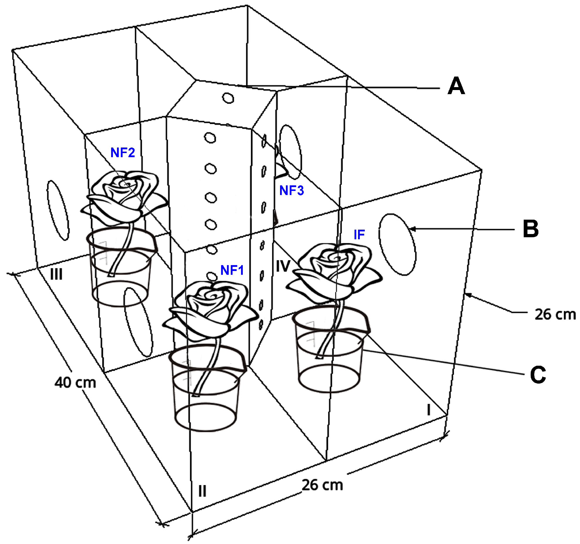 Agriculture 15 00431 g001