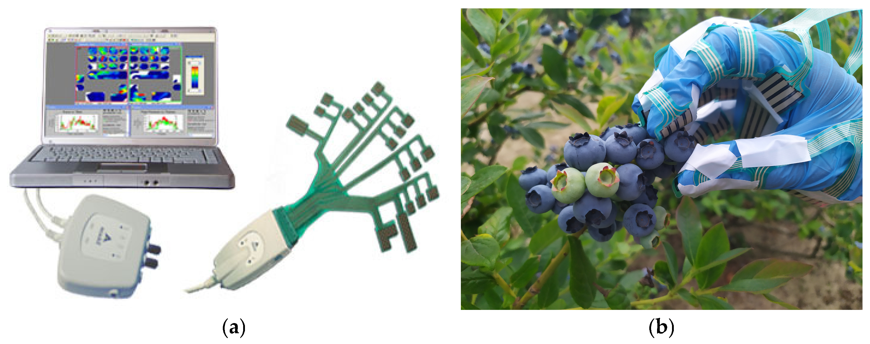 Agriculture 15 00438 g003