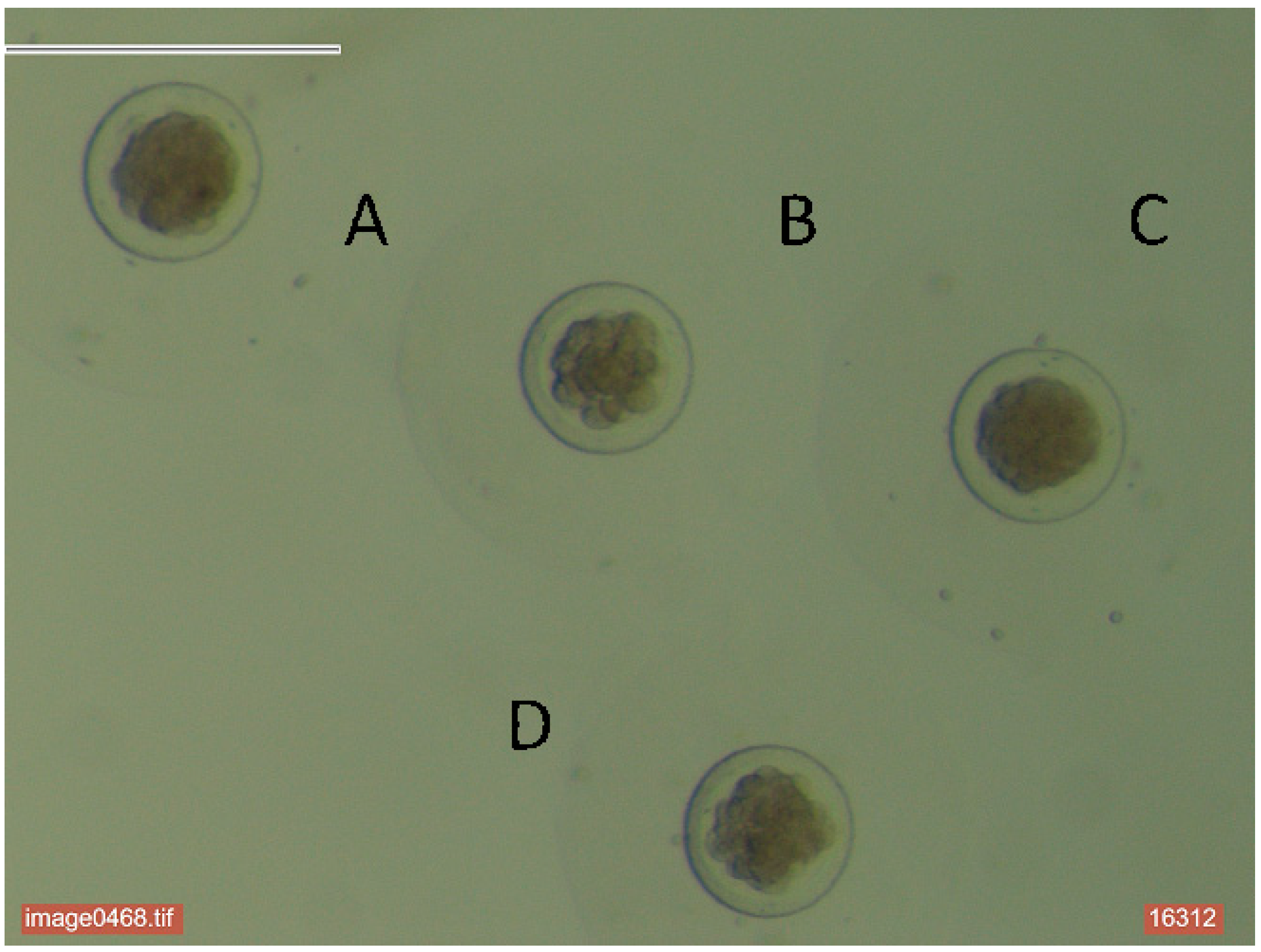 Agriculture 15 00471 g001