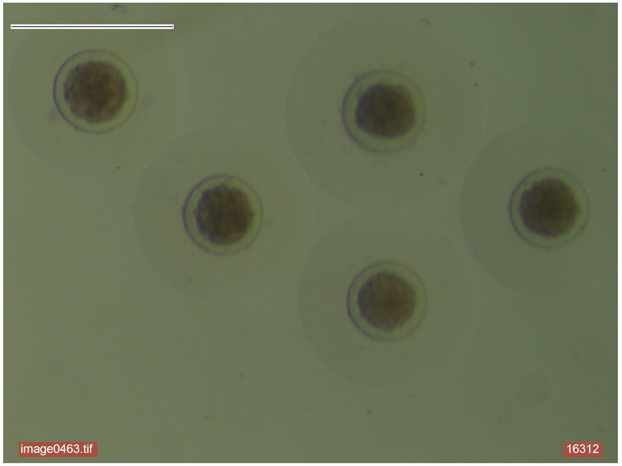 Agriculture 15 00471 g002