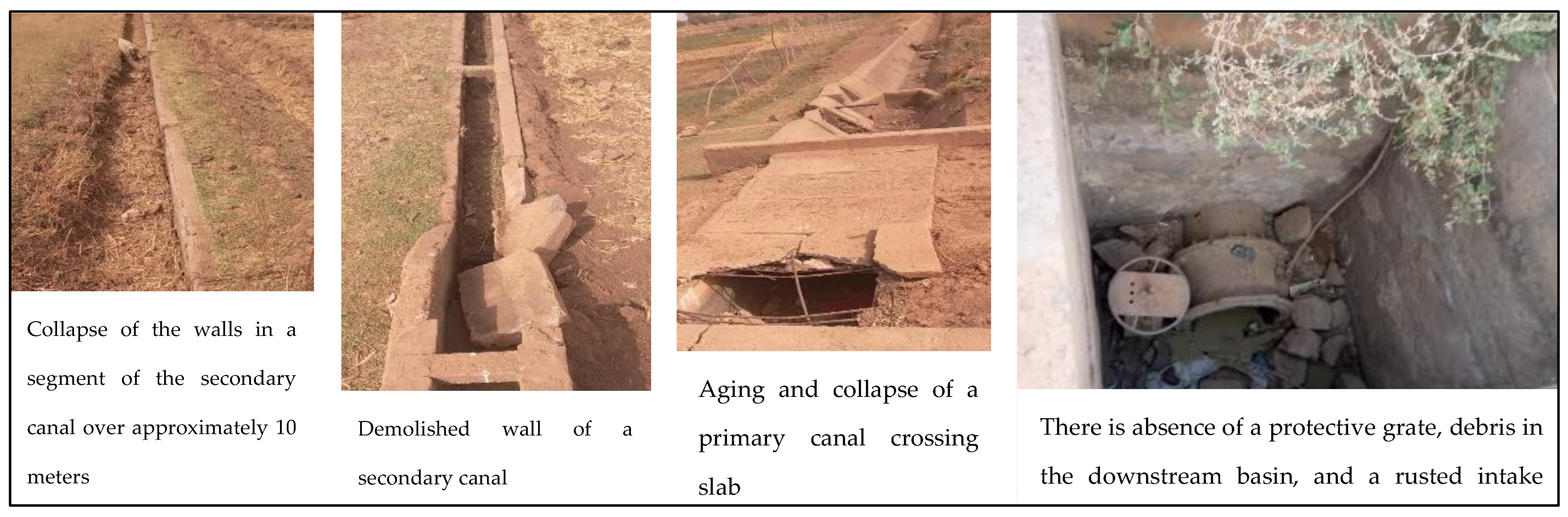 Agriculture 15 00477 g004