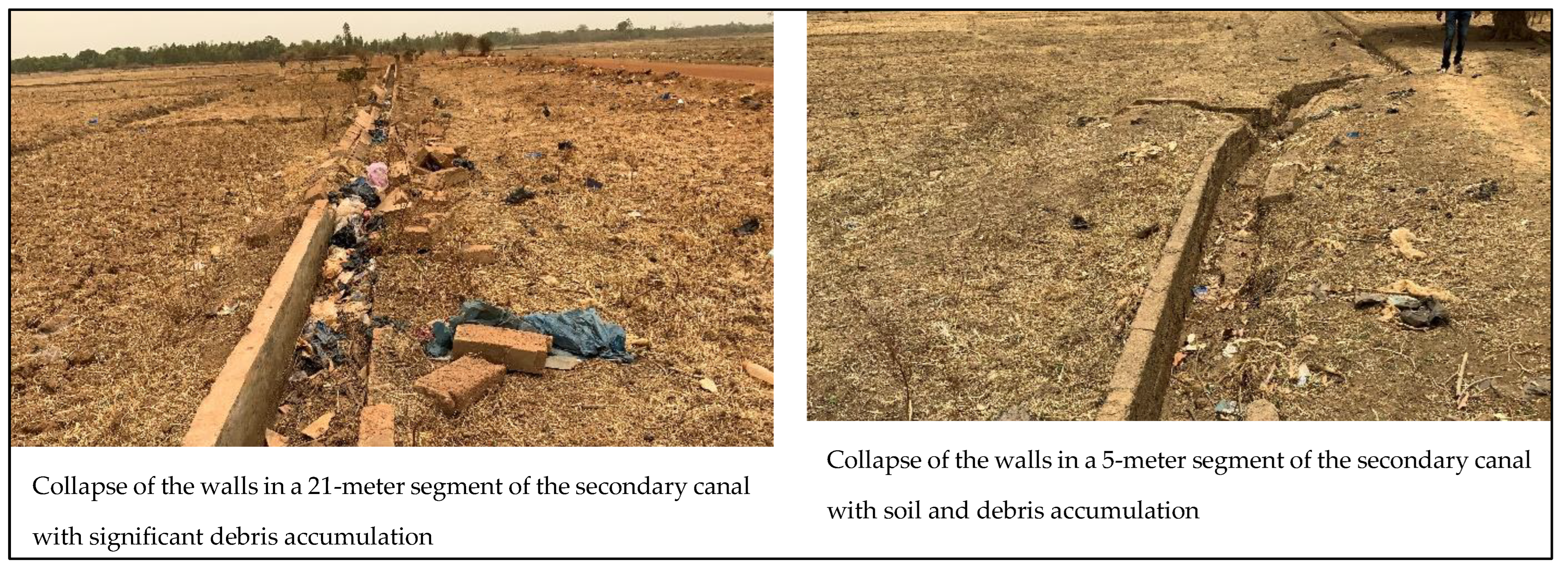 Agriculture 15 00477 g005