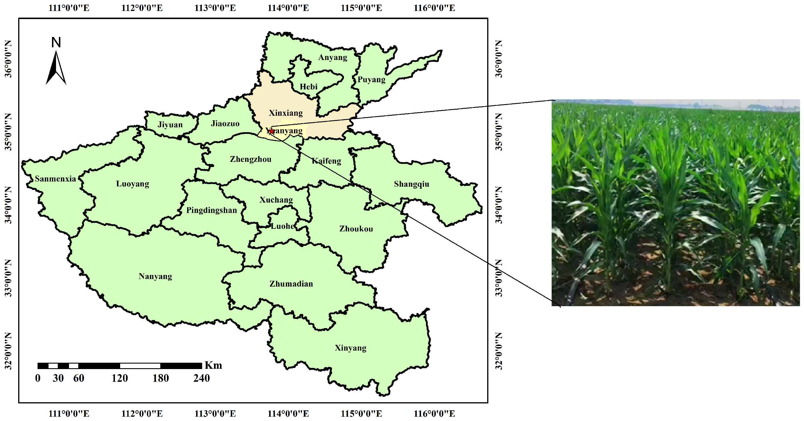 Agriculture 15 00481 g001