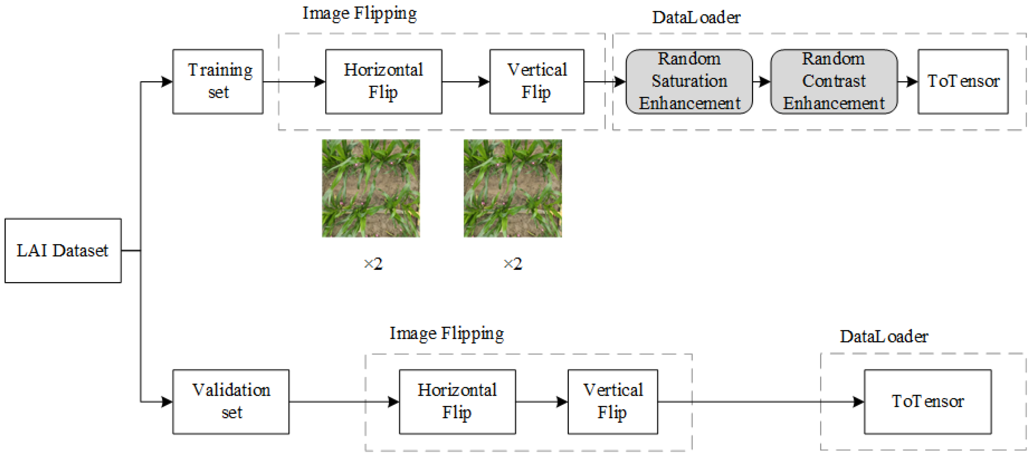 Agriculture 15 00481 g003