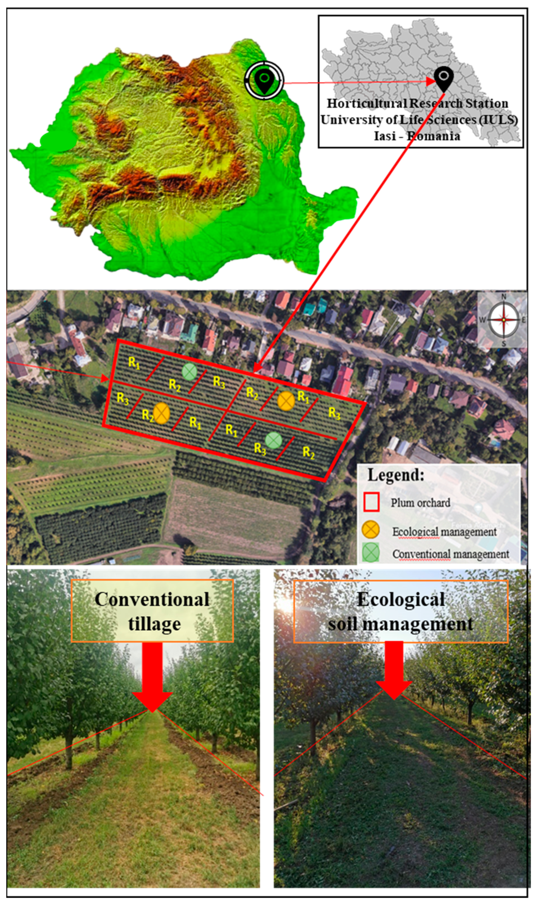 Agriculture 15 00509 g003