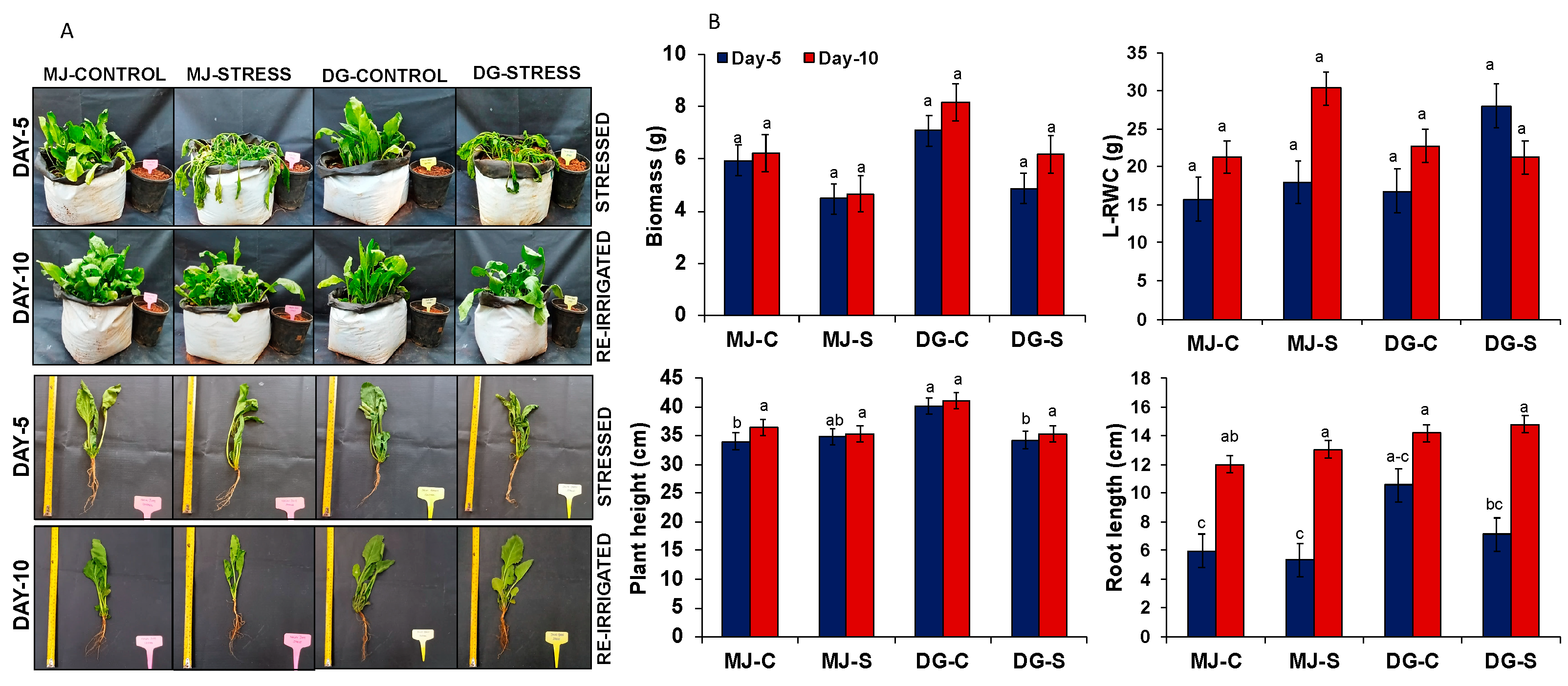 Agriculture 15 00522 g001