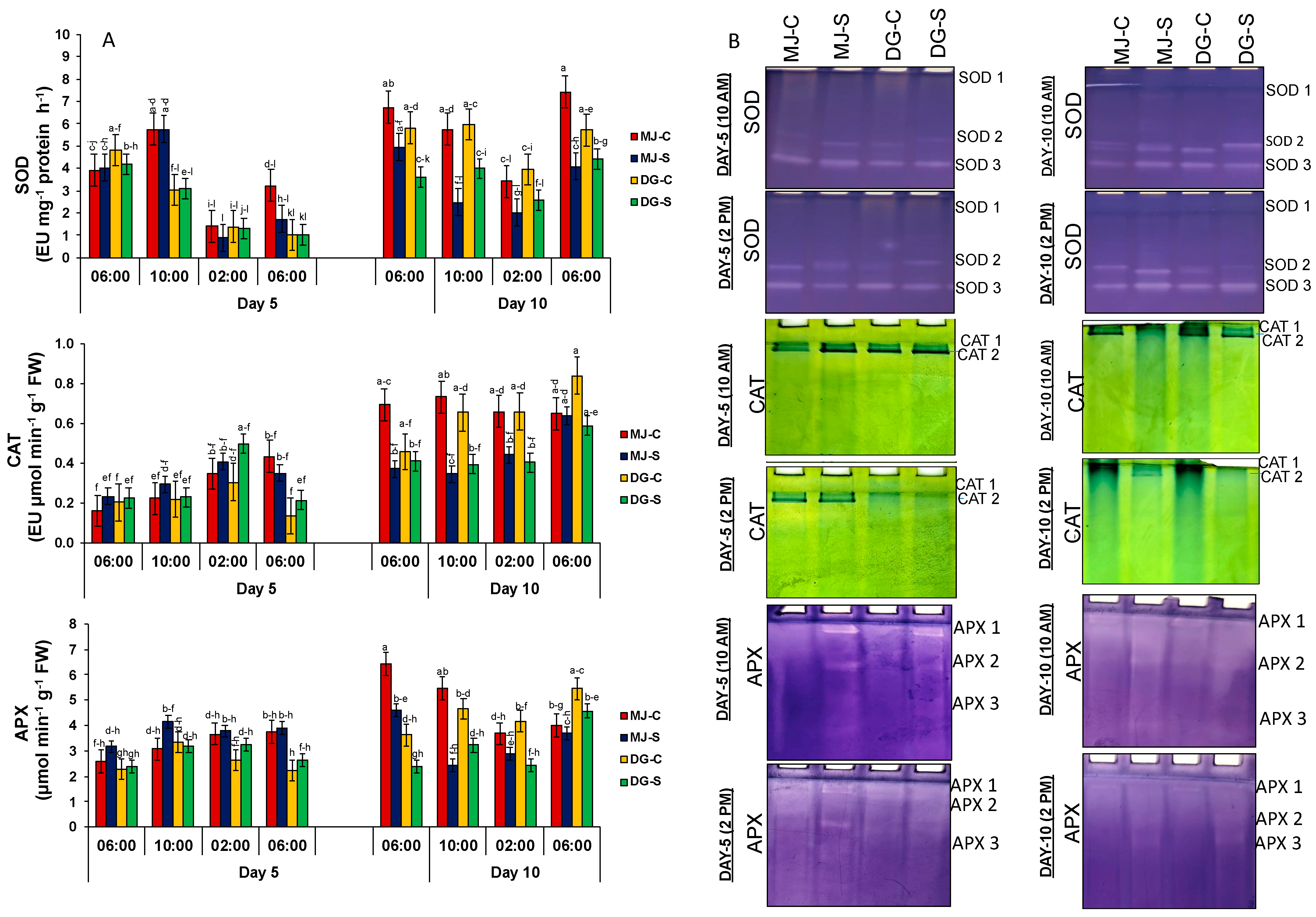Agriculture 15 00522 g006