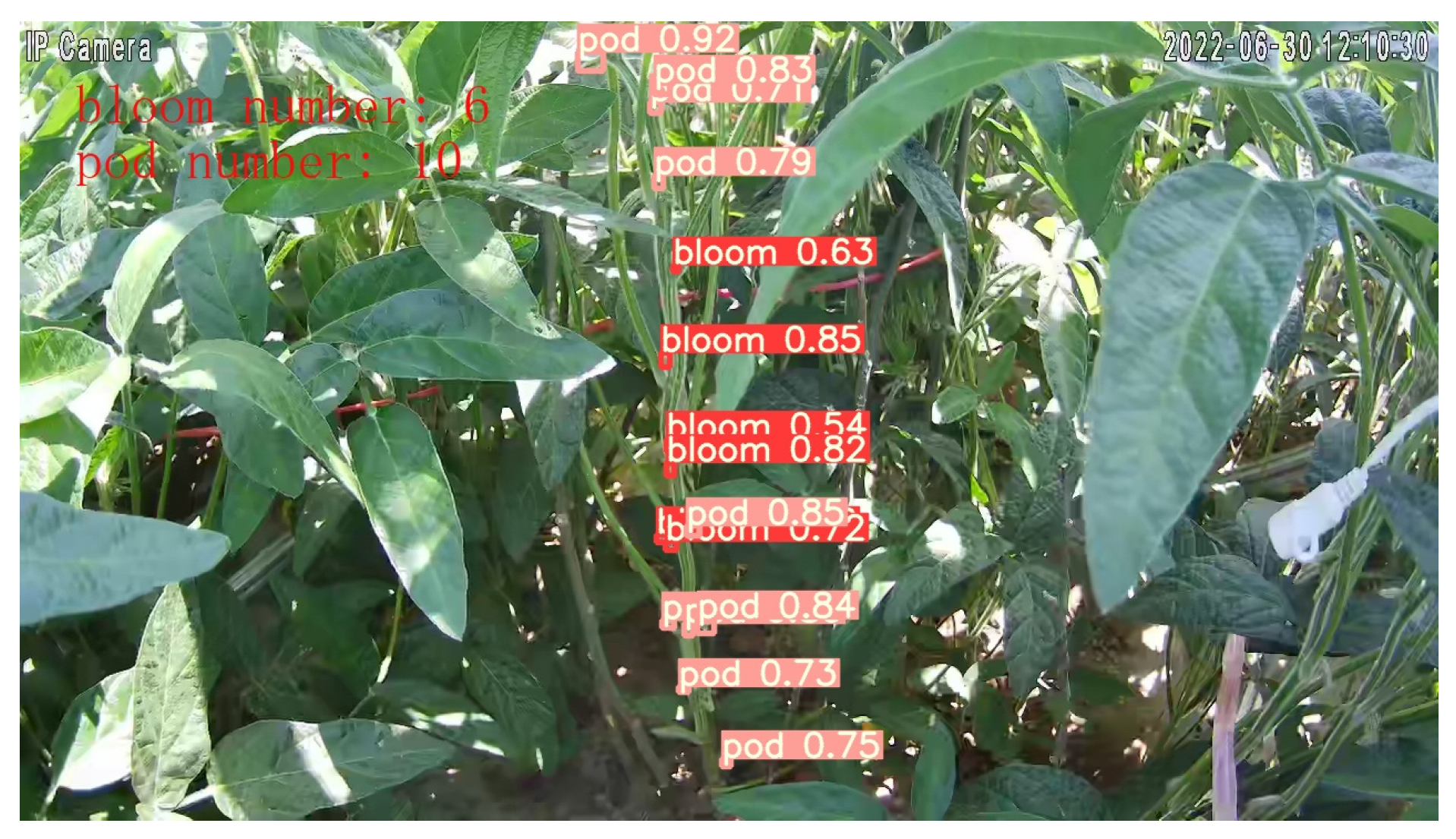 Agriculture 15 00528 g022 Agriculture 15 00528 g022