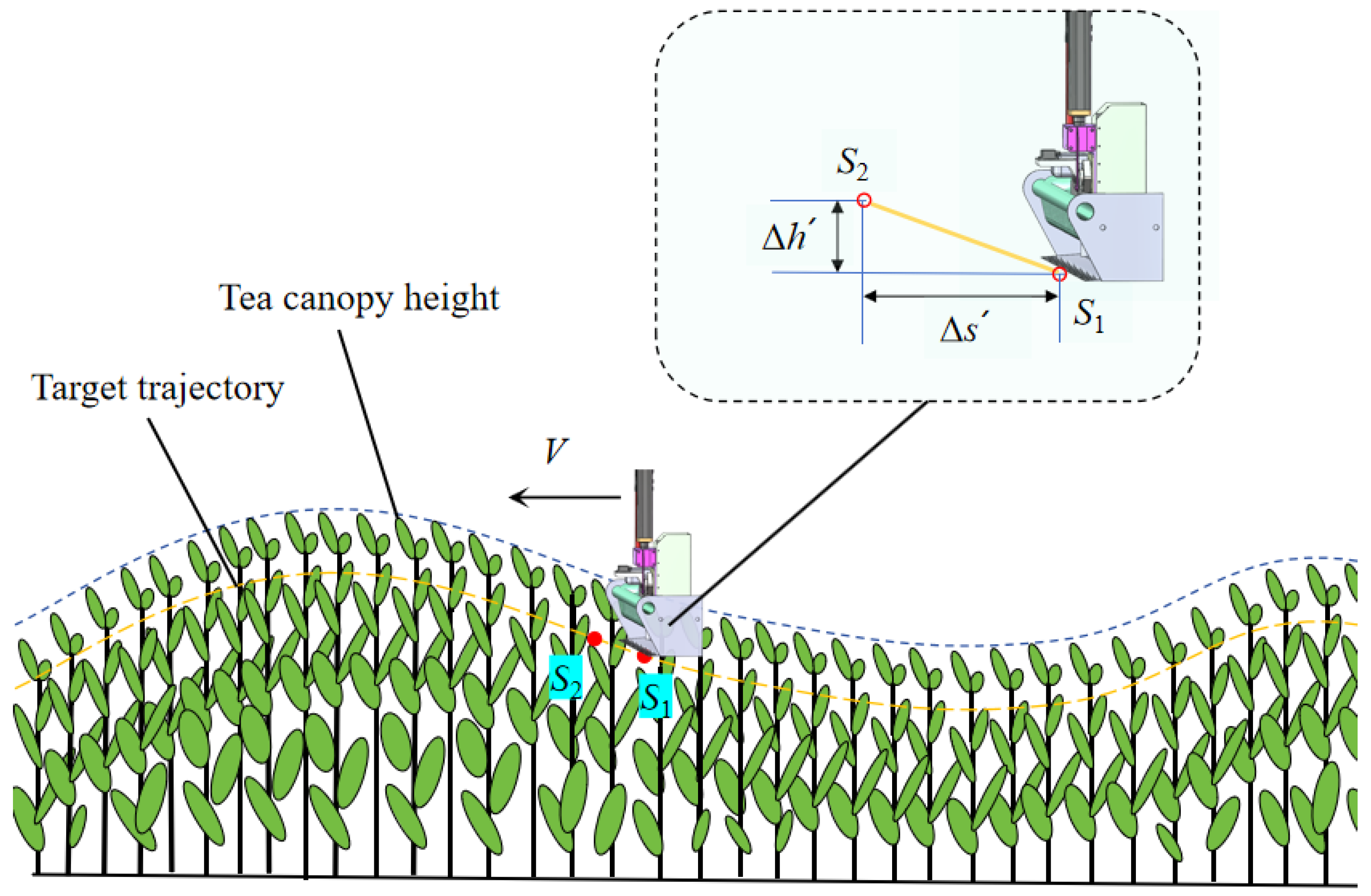 Agriculture 15 00557 g005