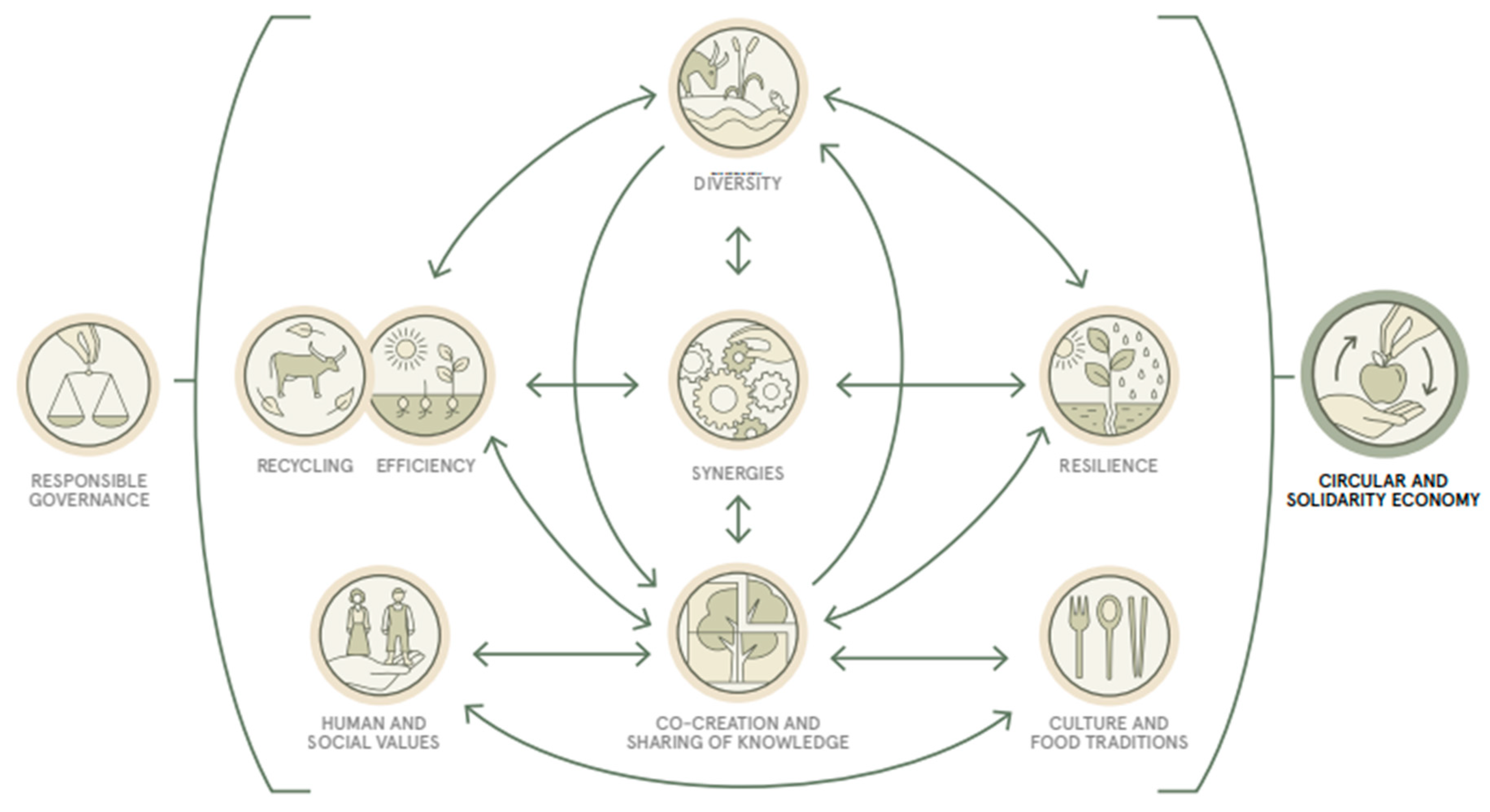 Agriculture 15 00558 g001