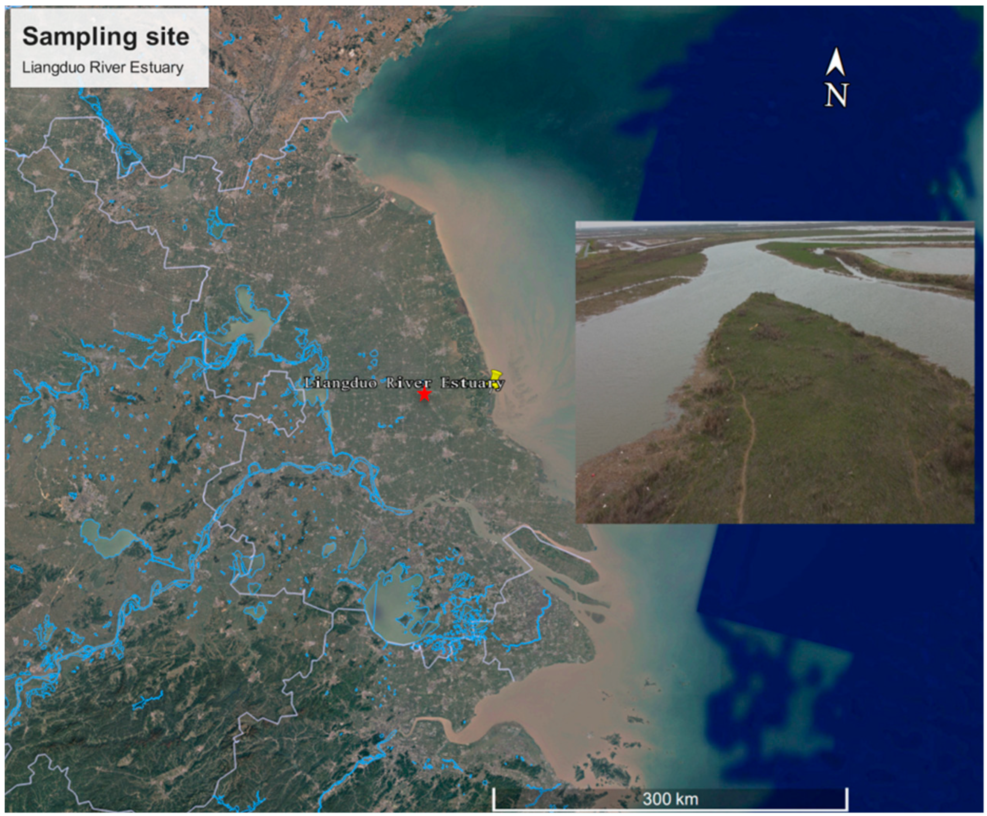 Agriculture 15 00565 g001