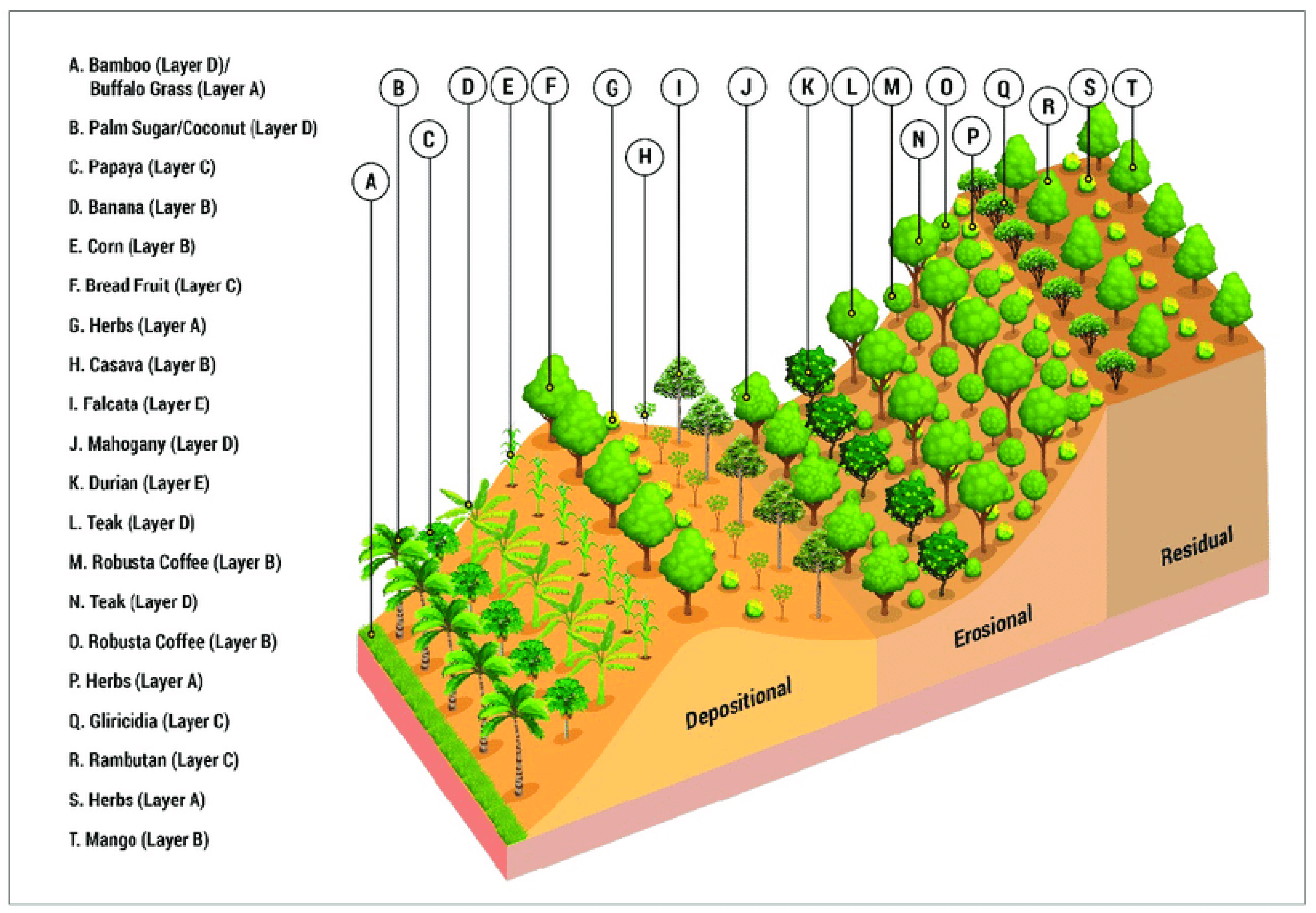 Multidimensional Perspective of Sustainable Agroecosystems and the ...