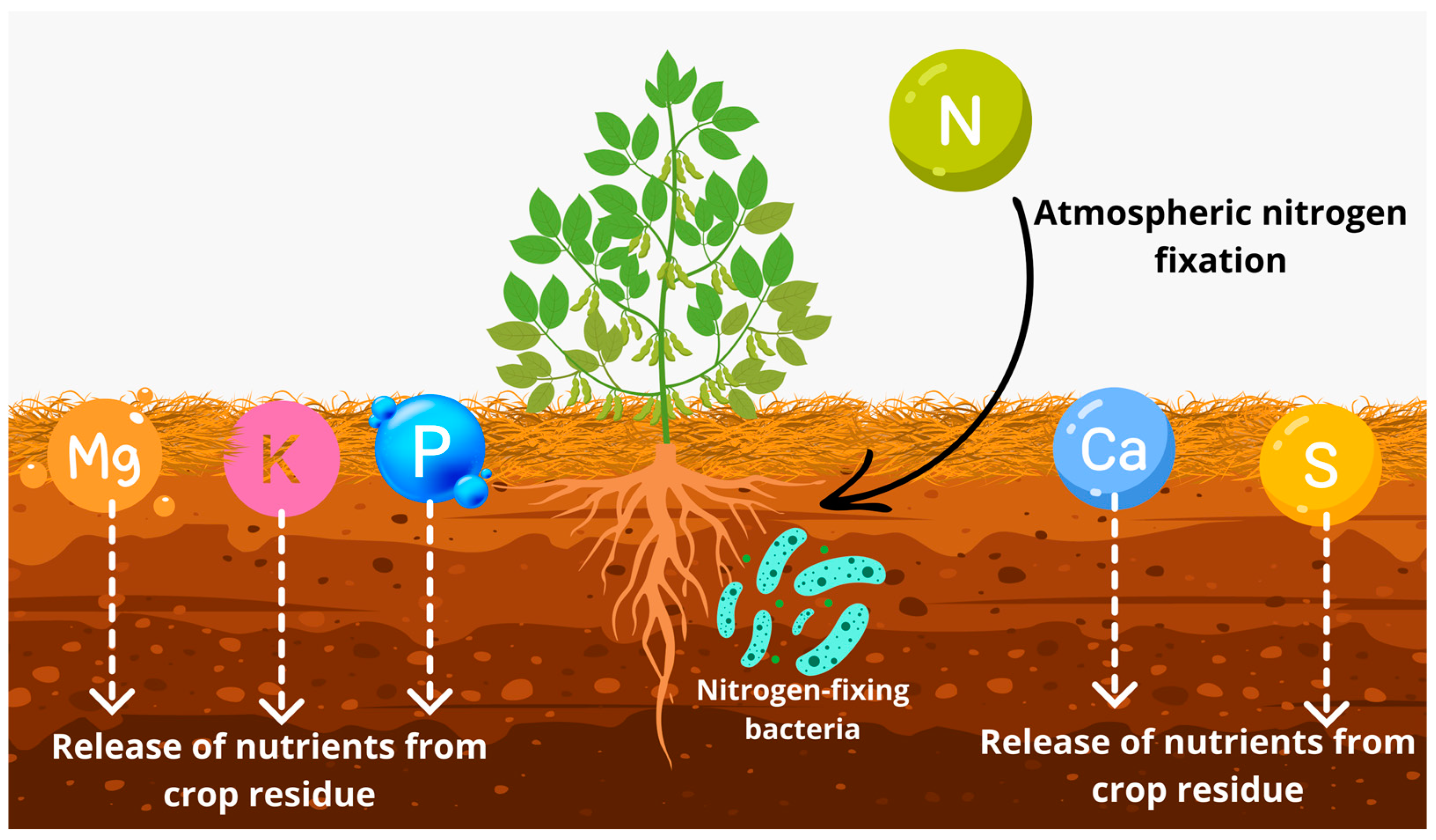 Agriculture 15 00589 g006 Agriculture 15 00589 g006