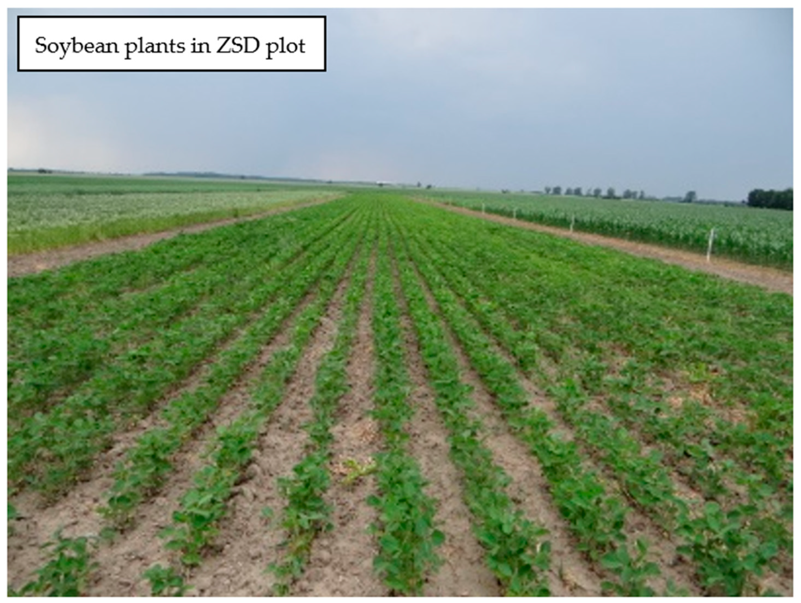 Agriculture 15 00626 g004 Agriculture 15 00626 g004