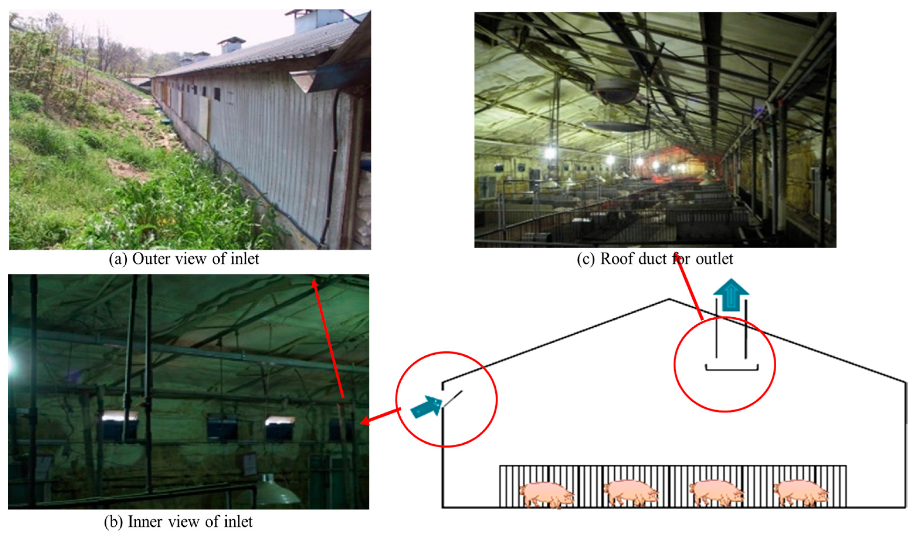 Agriculture 15 00635 g001