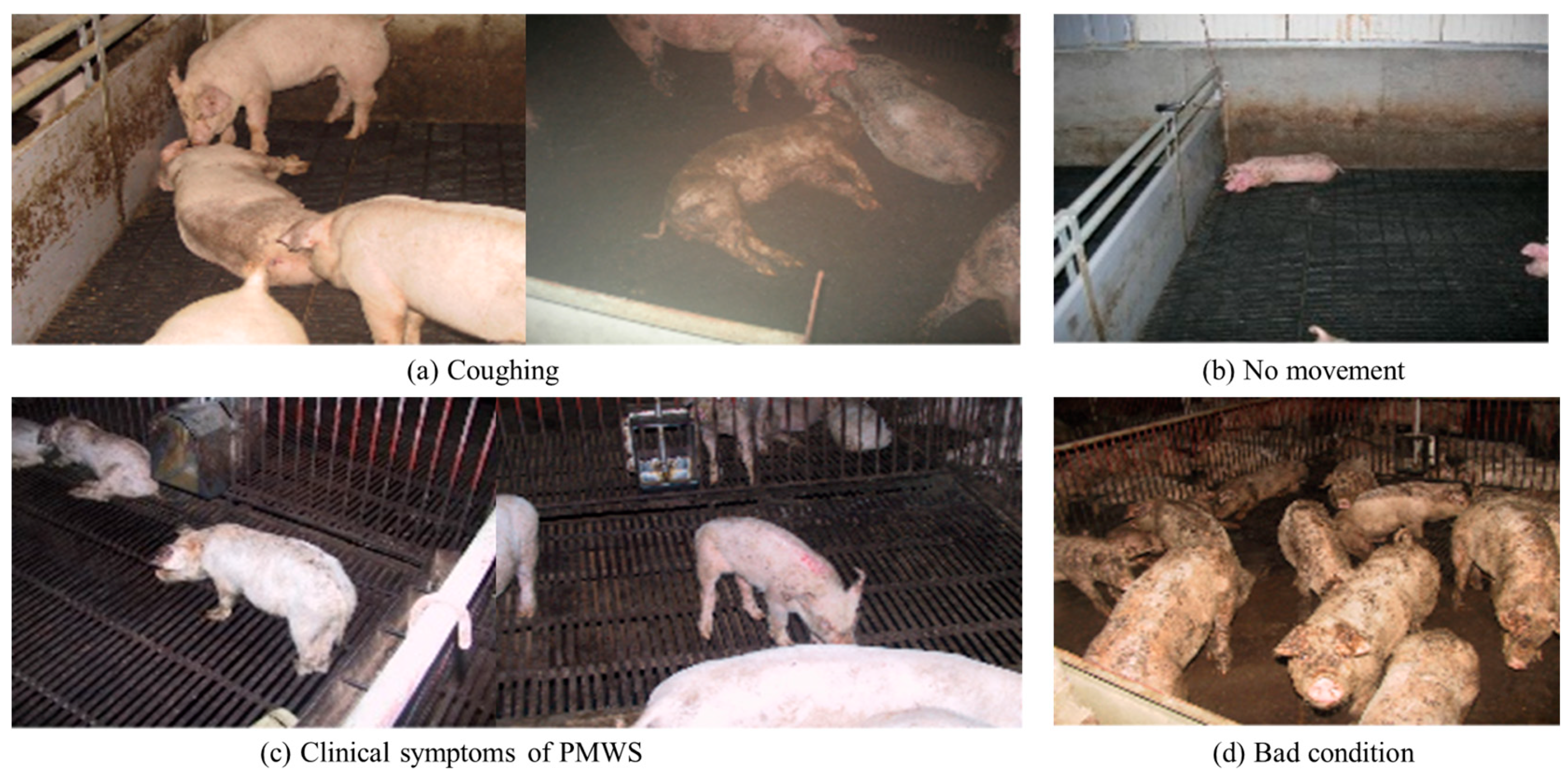 Agriculture 15 00635 g004