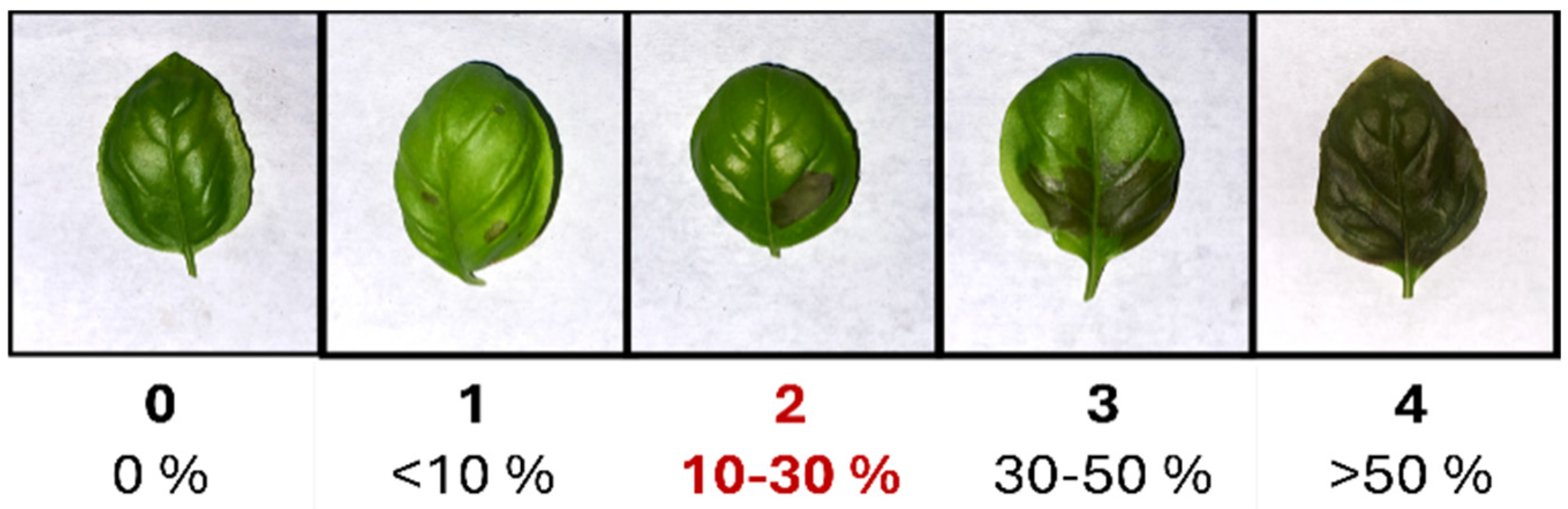 Agriculture 15 00643 g001 Agriculture 15 00643 g001