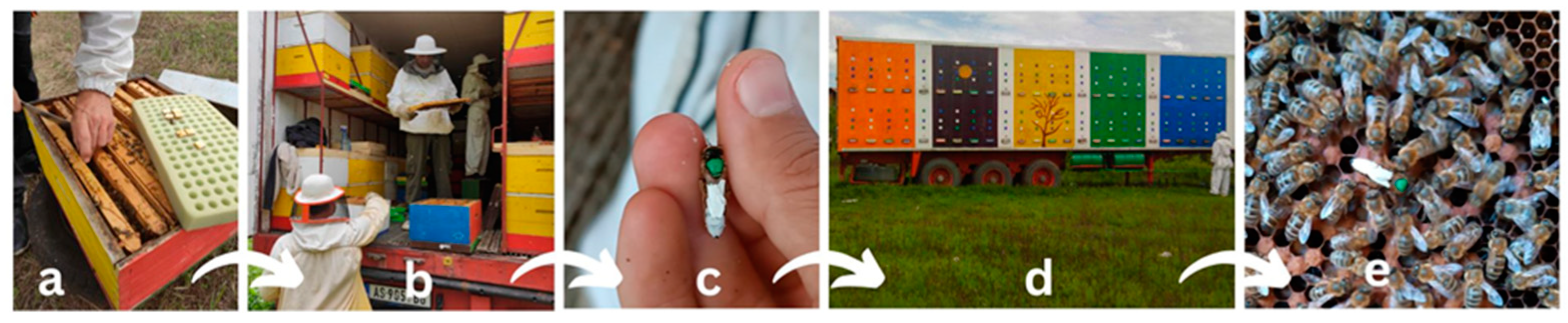 Agriculture 15 00645 g001