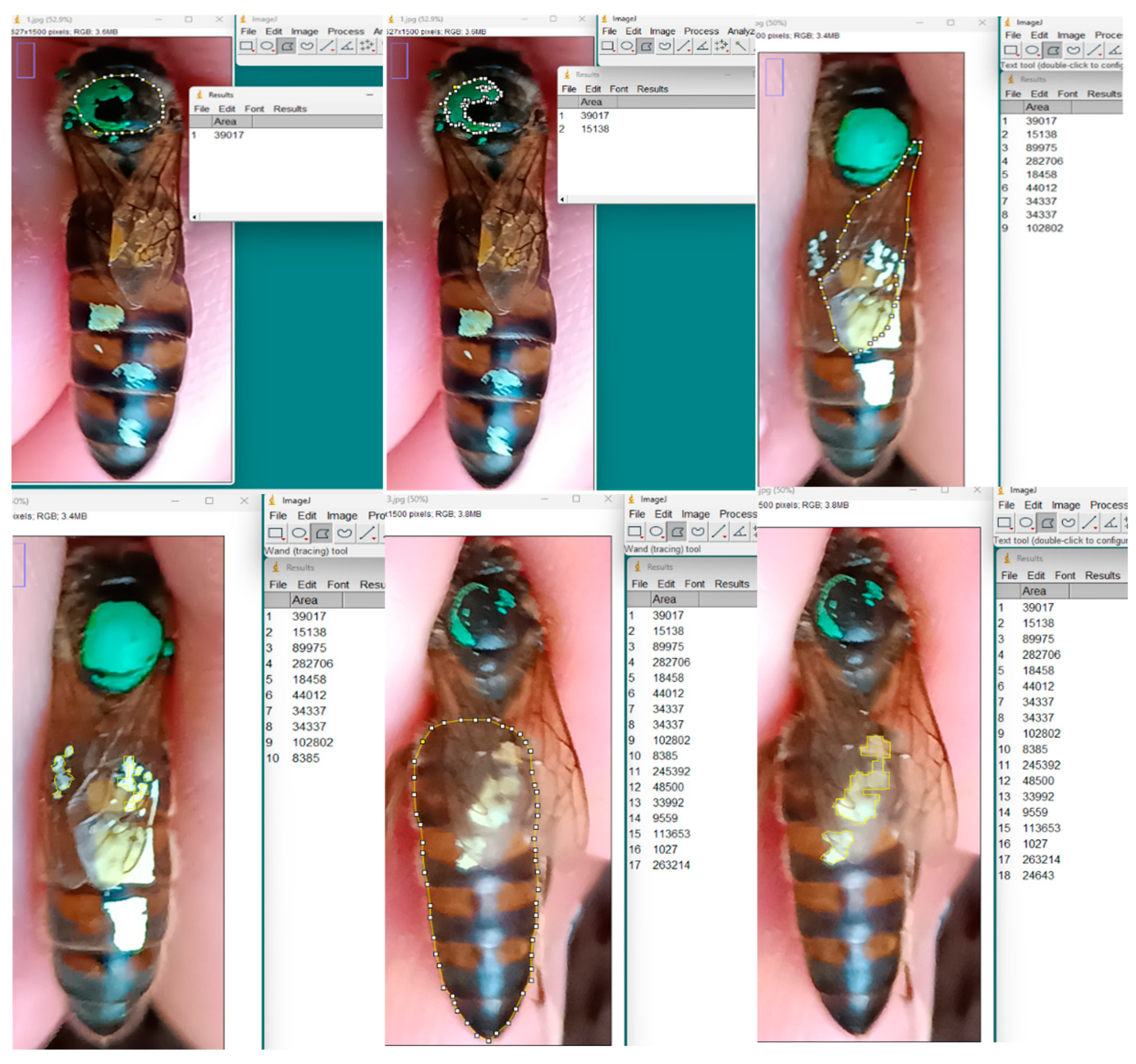 Agriculture 15 00645 g004