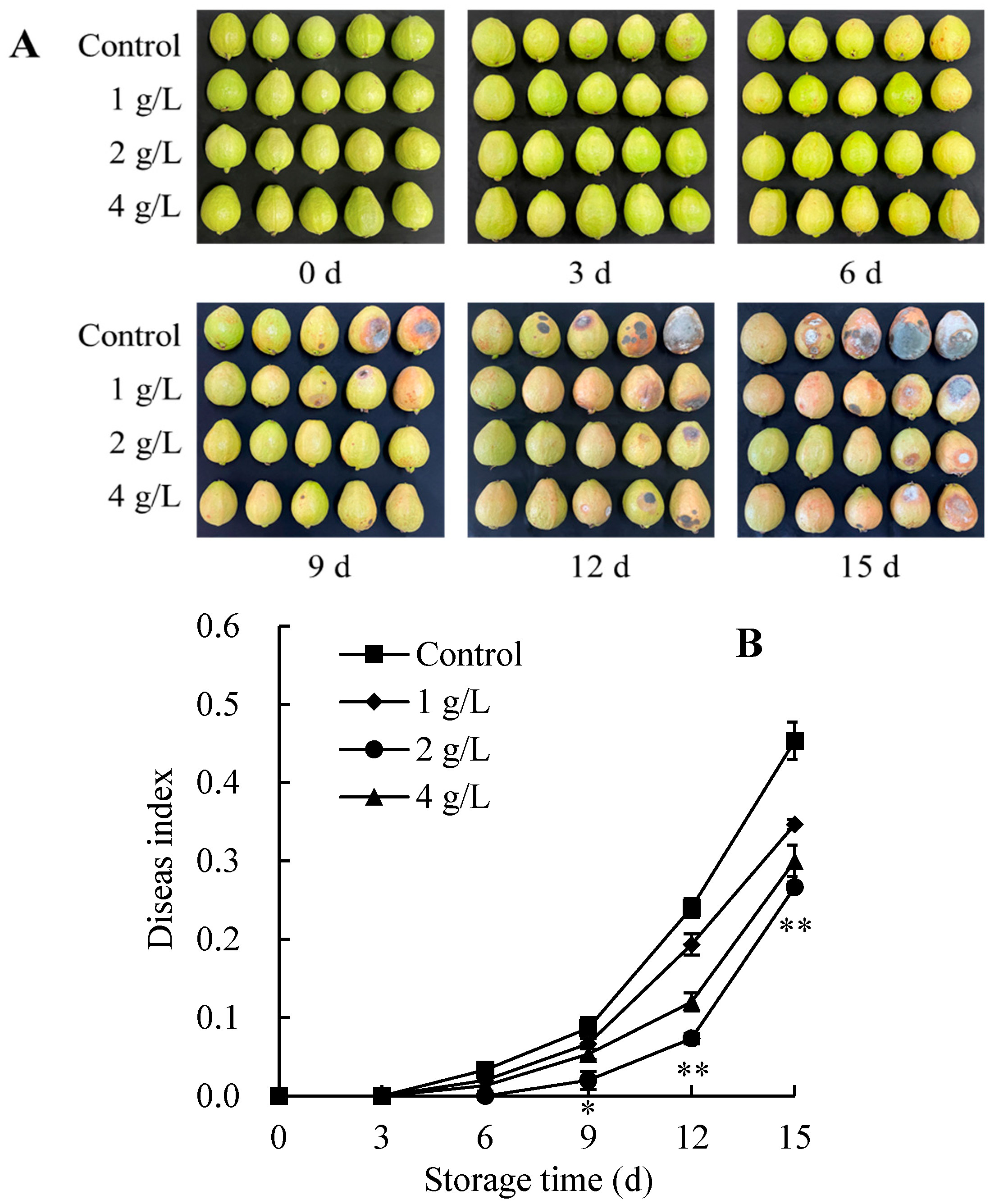 Agriculture 15 00654 g001