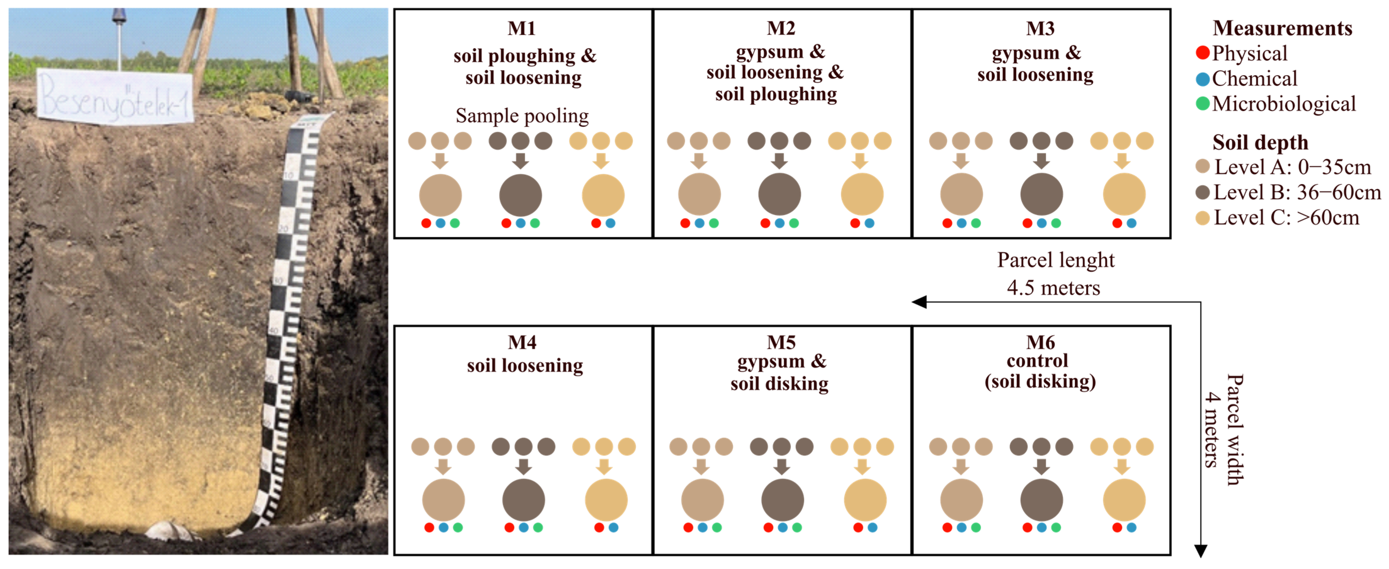 Agriculture 15 00658 g001