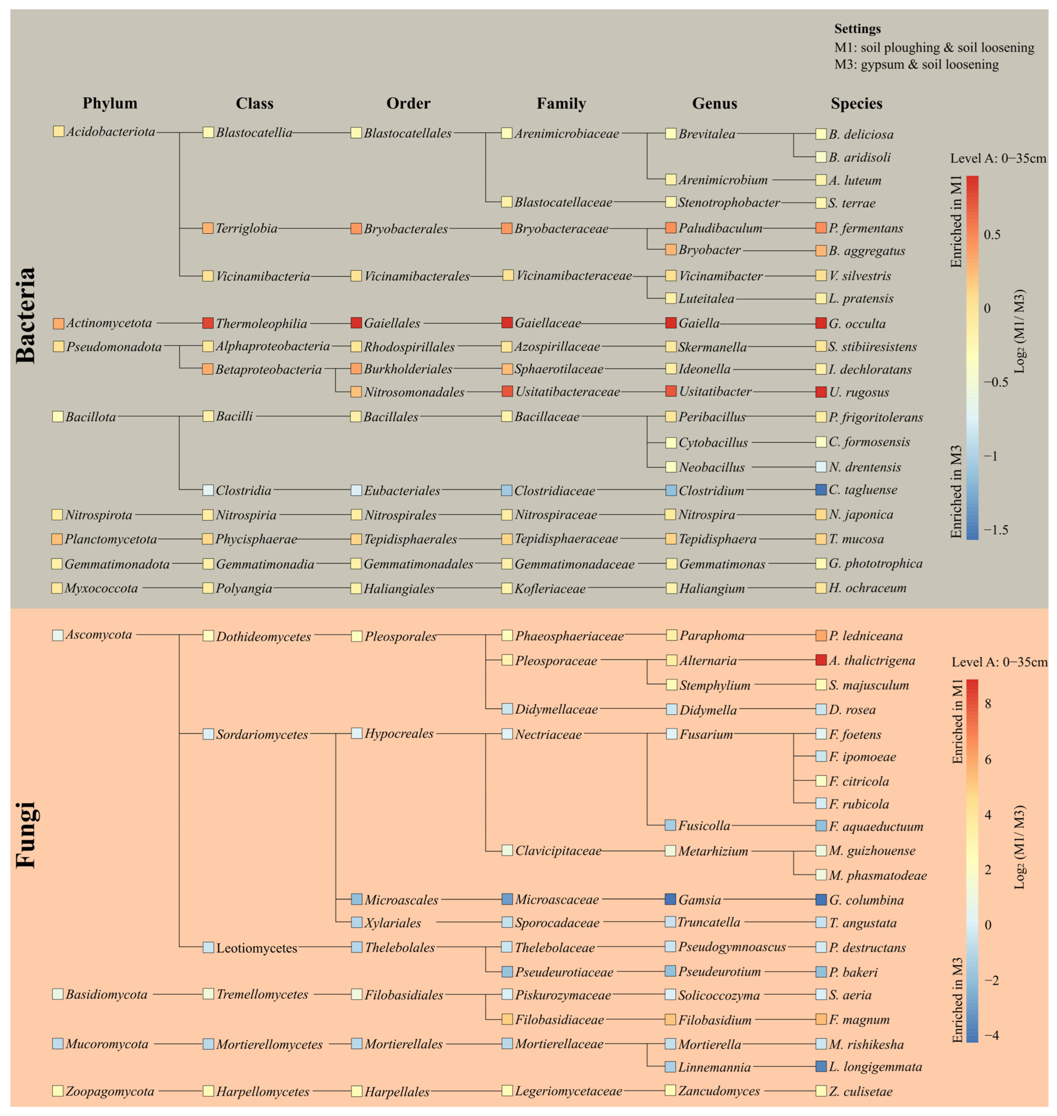 Agriculture 15 00658 g004